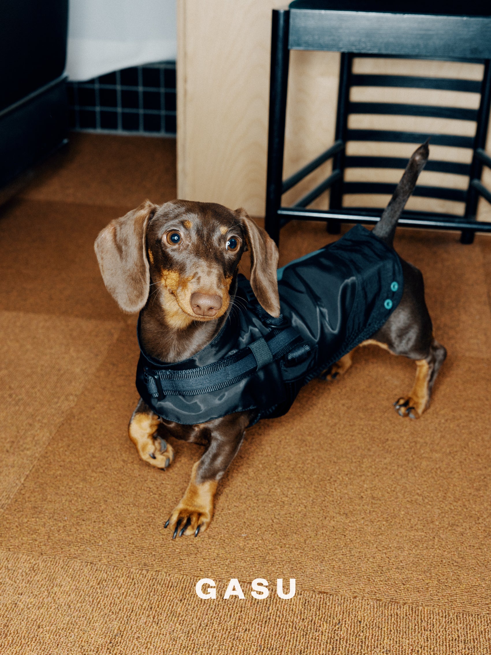 GASU Variété / [3 Colors] Sporty Vest (Compatible With Harness)