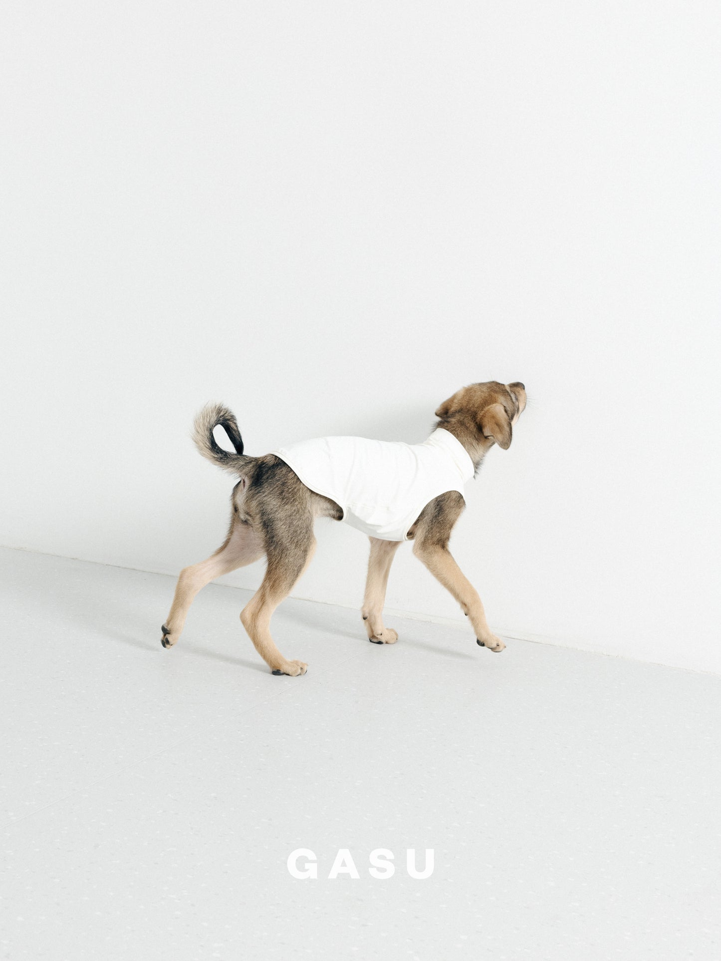 GASU Flâner / [6 Colors] Nude UPF1000+ Cooling Vest