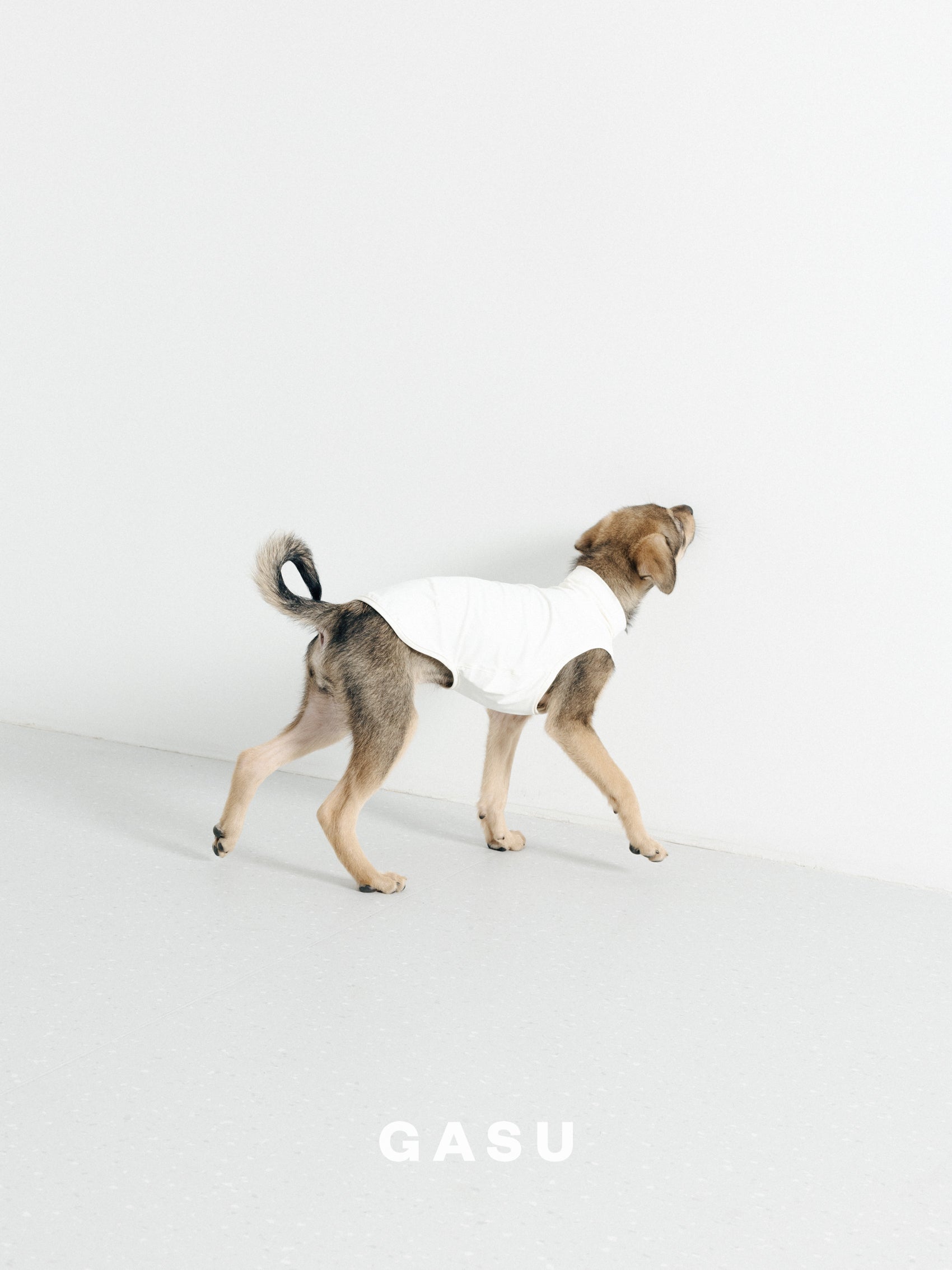 GASU Flâner / [6 Colors] Nude UPF1000+ Cooling Vest
