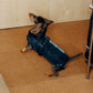 GASU Variété / [3 Colors] Sporty Vest (Compatible With Harness)