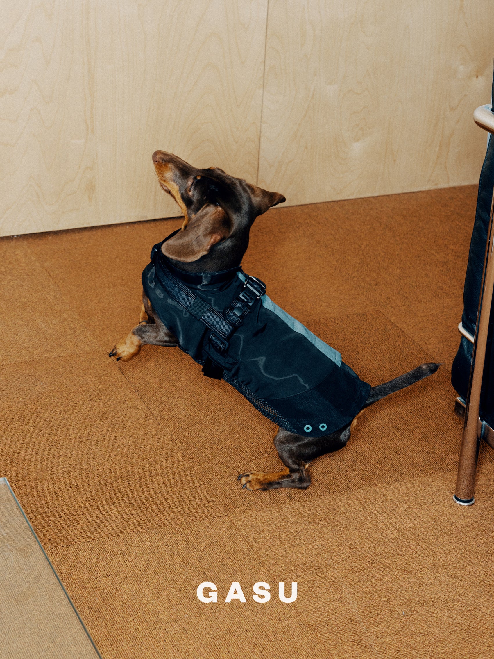 GASU Variété / [3 Colors] Sporty Vest (Compatible With Harness)