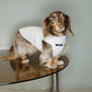 GASU® Flâner / [11 Colors] Anti-static Warm Tight Elastic Belly-protecting Vest