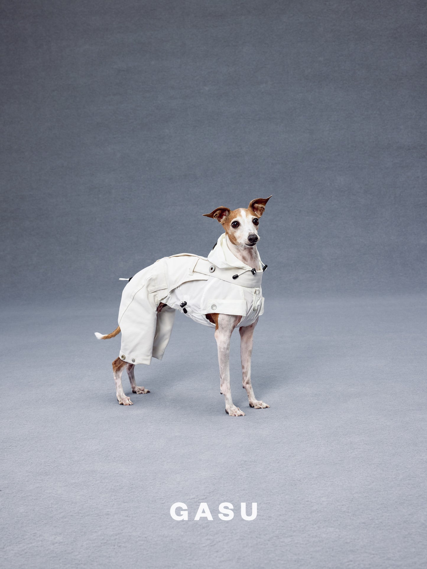 GASU Variété / [Pebble Oat White] UPF50+ Cooling Water-Repellent CUTEST BILLIONAIRE Shirt