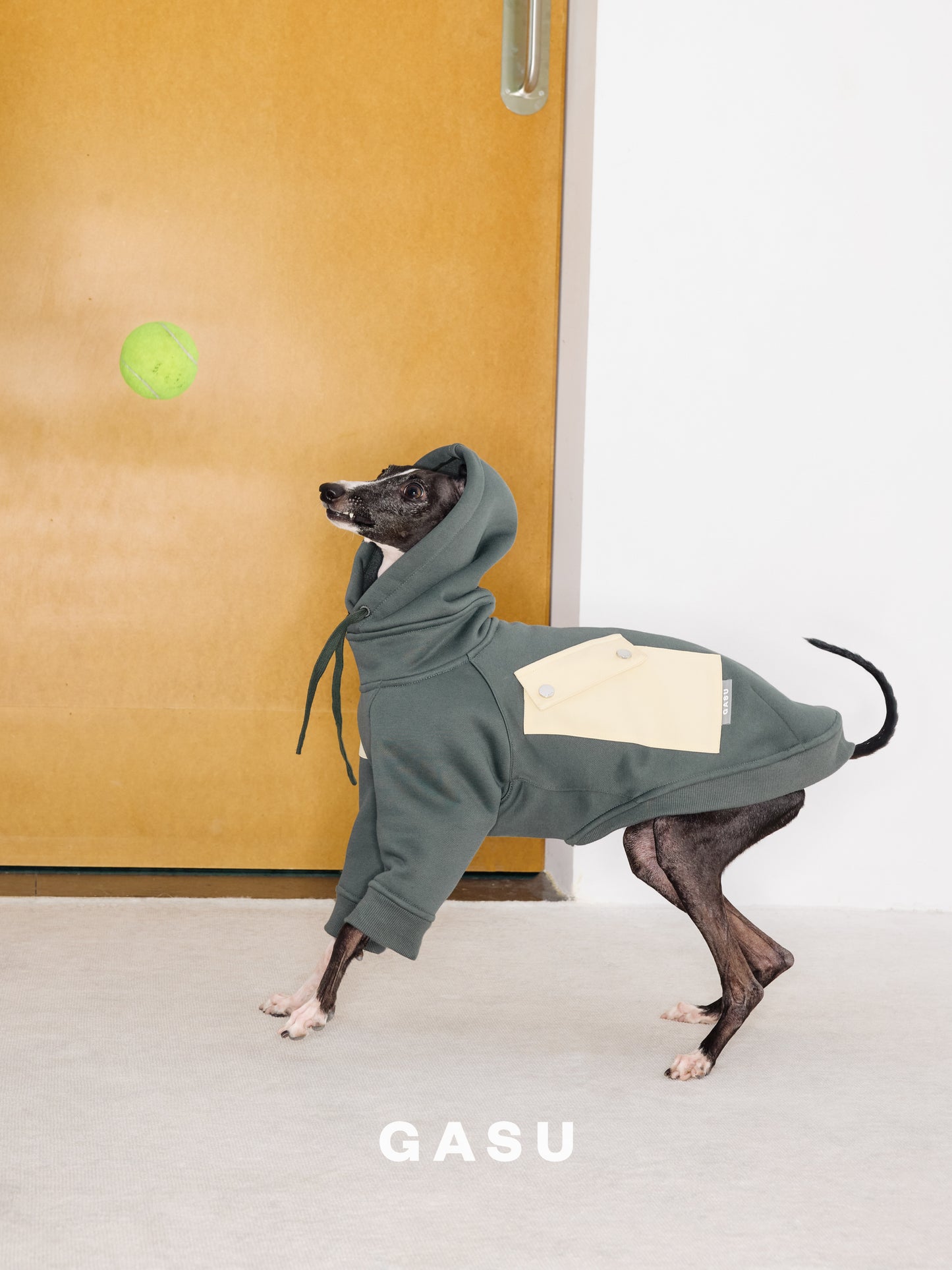 GASU Variété / [3 Colors] Antistatic Thick Fleece Hoodie