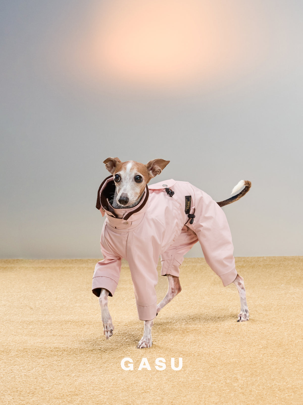 GASU Variété / [Misty Sakura] Full Coverage Utility Waterproof Jumpsuit