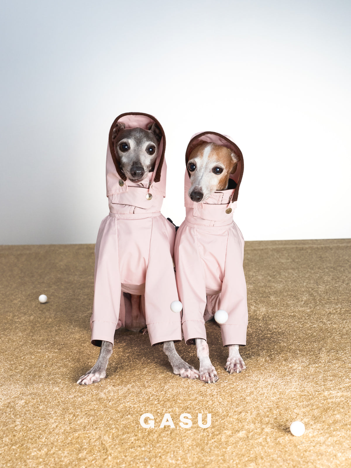 GASU Variété / [Misty Sakura] Full Coverage Utility Waterproof Jumpsuit