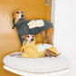 GASU Variété / [3 Colors] Antistatic Thick Fleece Hoodie