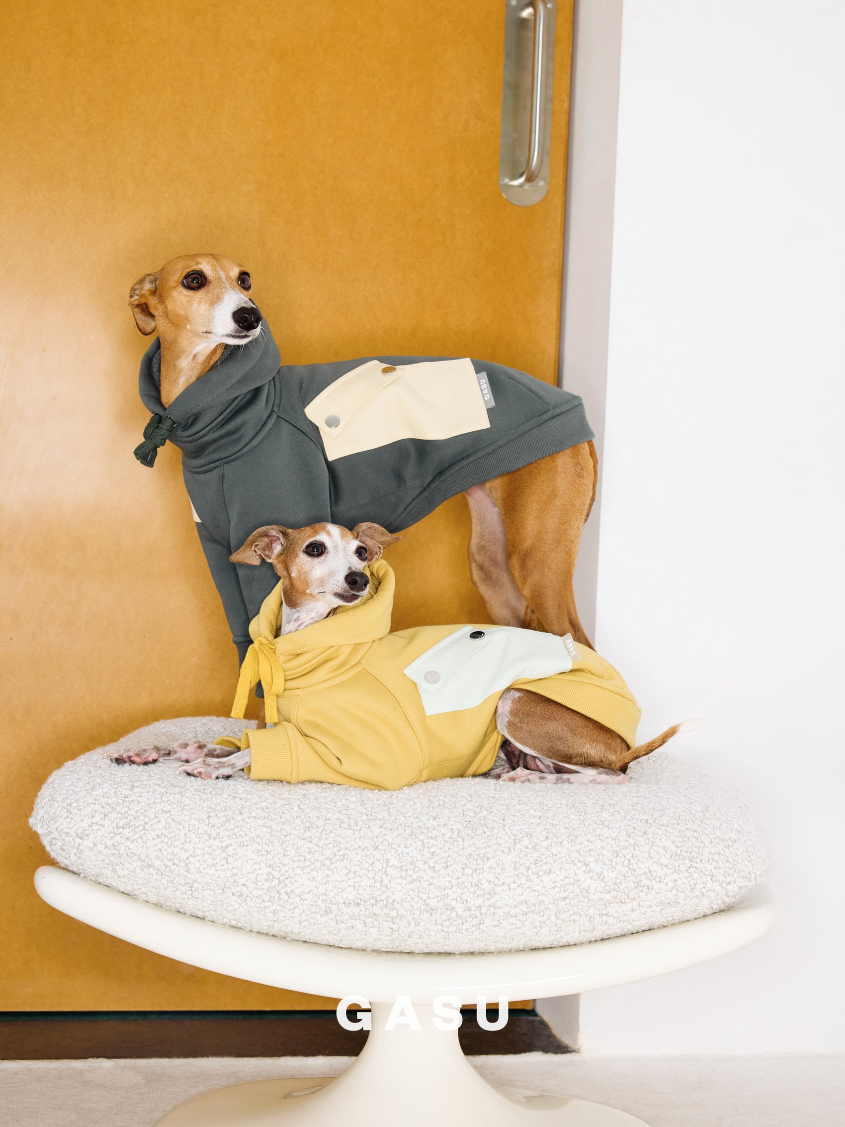 GASU Variété / [3 Colors] Antistatic Thick Fleece Hoodie