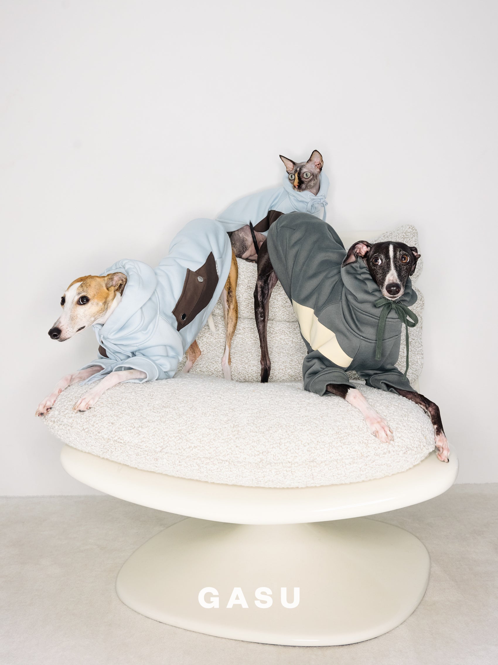 GASU Variété / [3 Colors] Antistatic Thick Fleece Hoodie