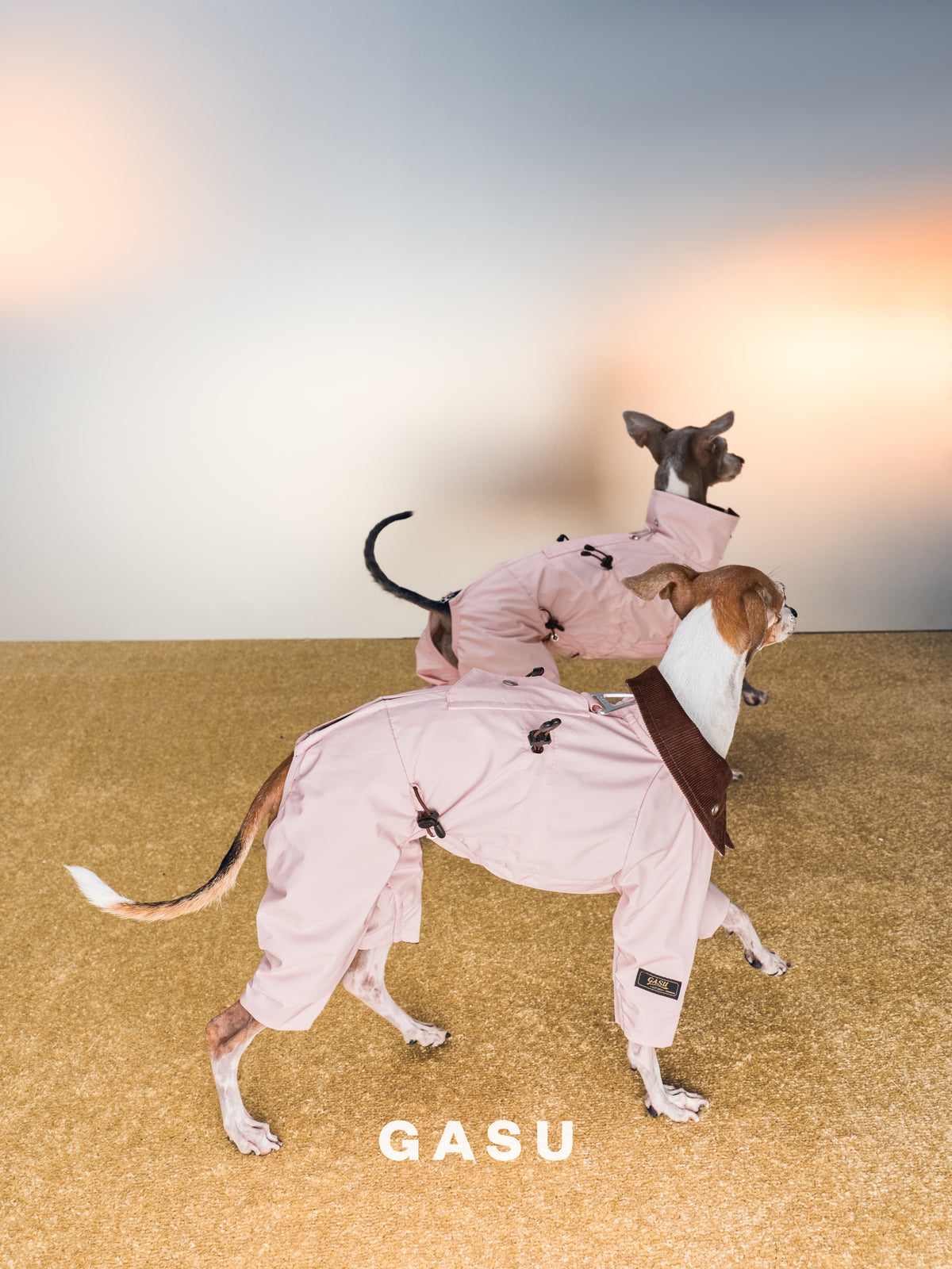GASU Variété / [Misty Sakura] Full Coverage Utility Waterproof Jumpsuit