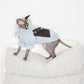 GASU Variété / [3 Colors] Antistatic Thick Fleece Hoodie