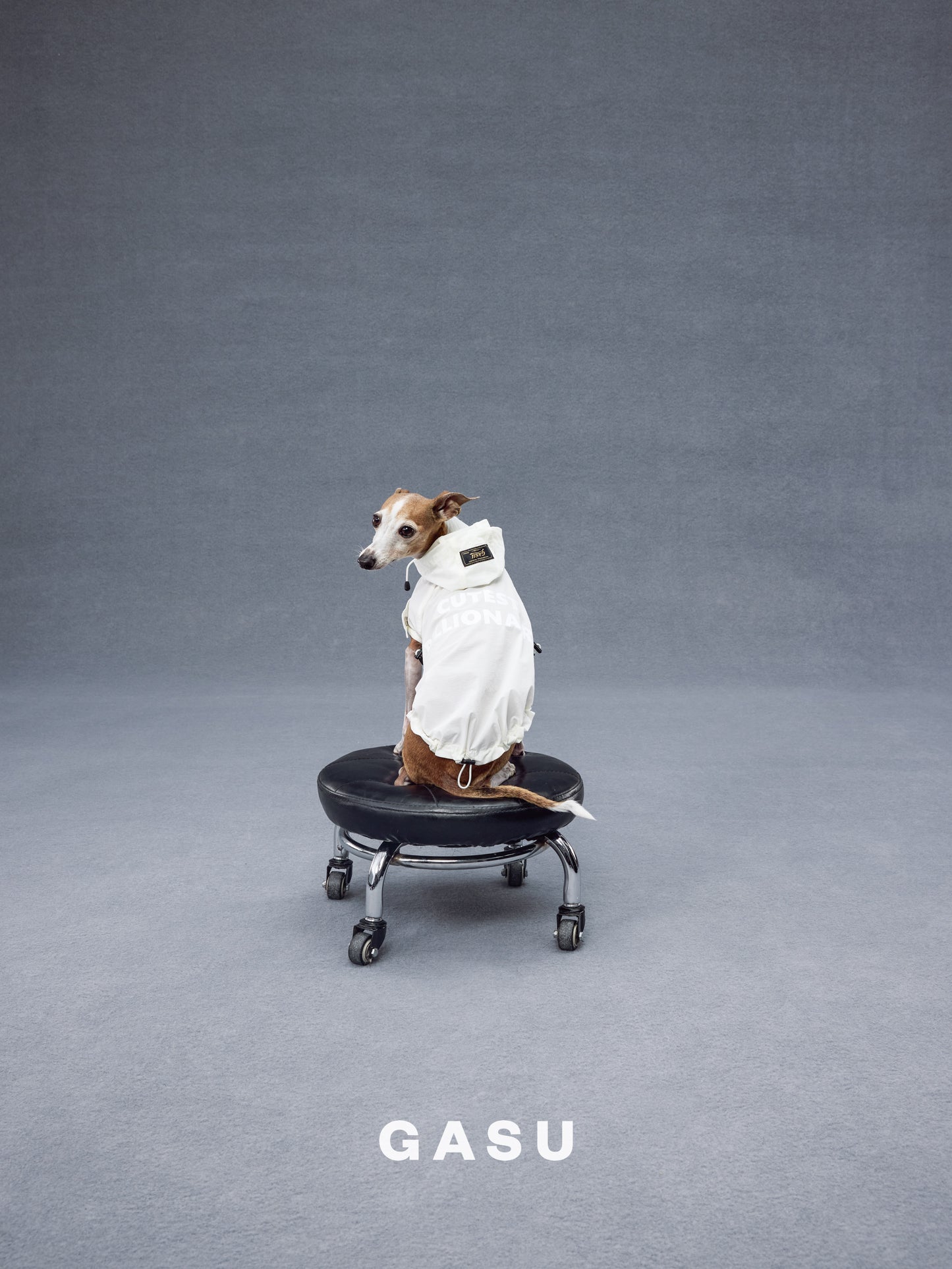 GASU Variété / [Pebble Oat White] UPF50+ Cooling Water-Repellent CUTEST BILLIONAIRE Shirt