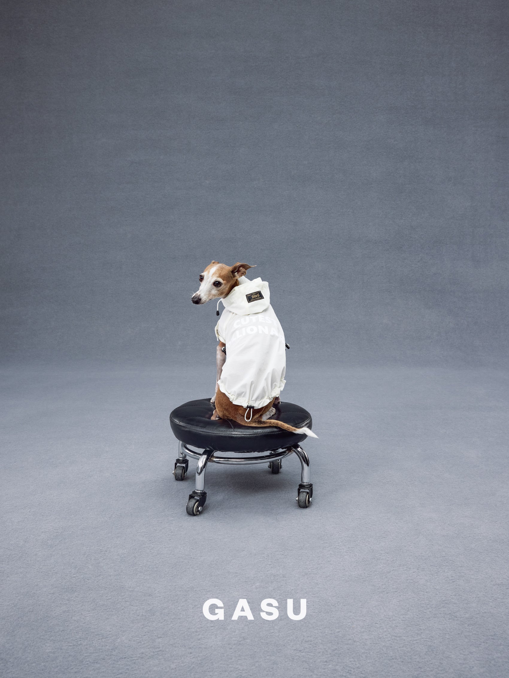 GASU Variété / [Pebble Oat White] UPF50+ Cooling Water-Repellent CUTEST BILLIONAIRE Shirt