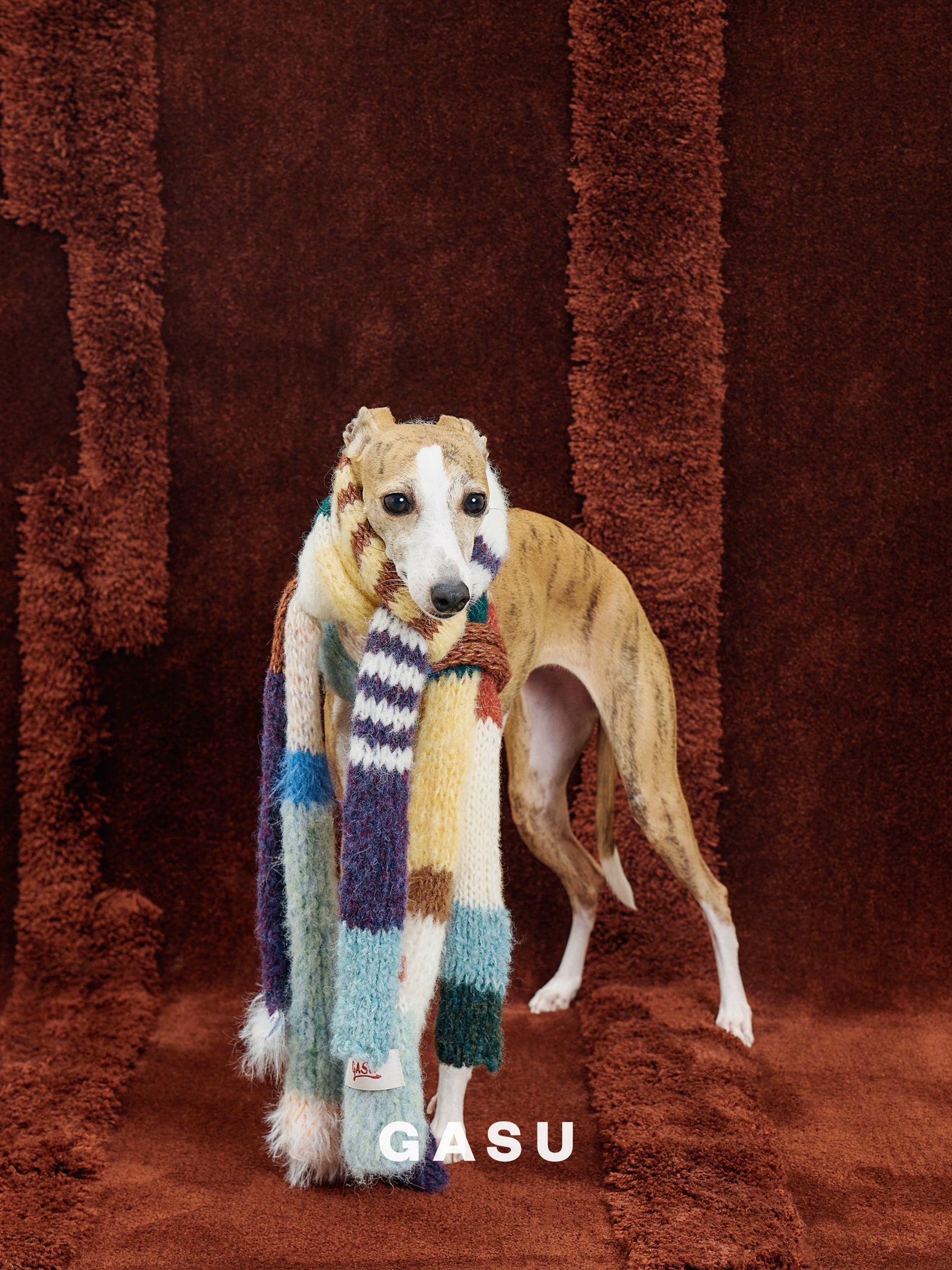 GASU Entourer / [Random Style] Hand-Knitted Mystery Box Scarf