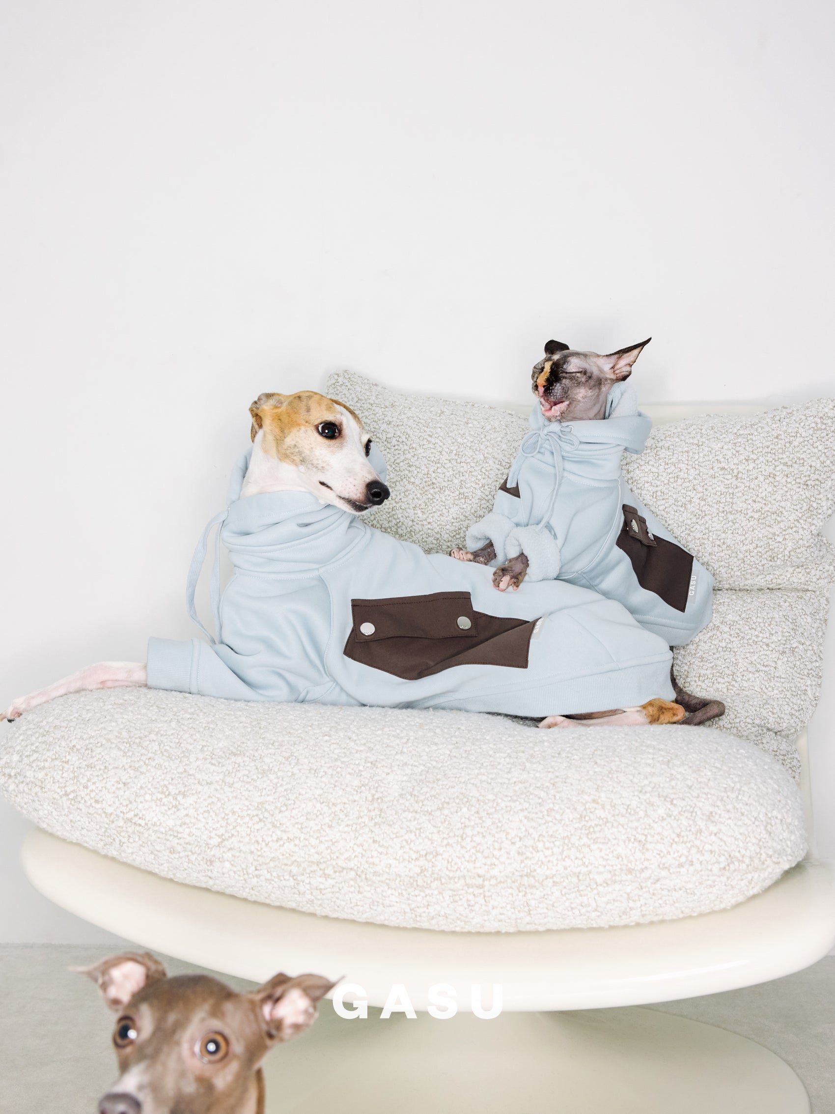 GASU Variété / [3 Colors] Antistatic Thick Fleece Hoodie