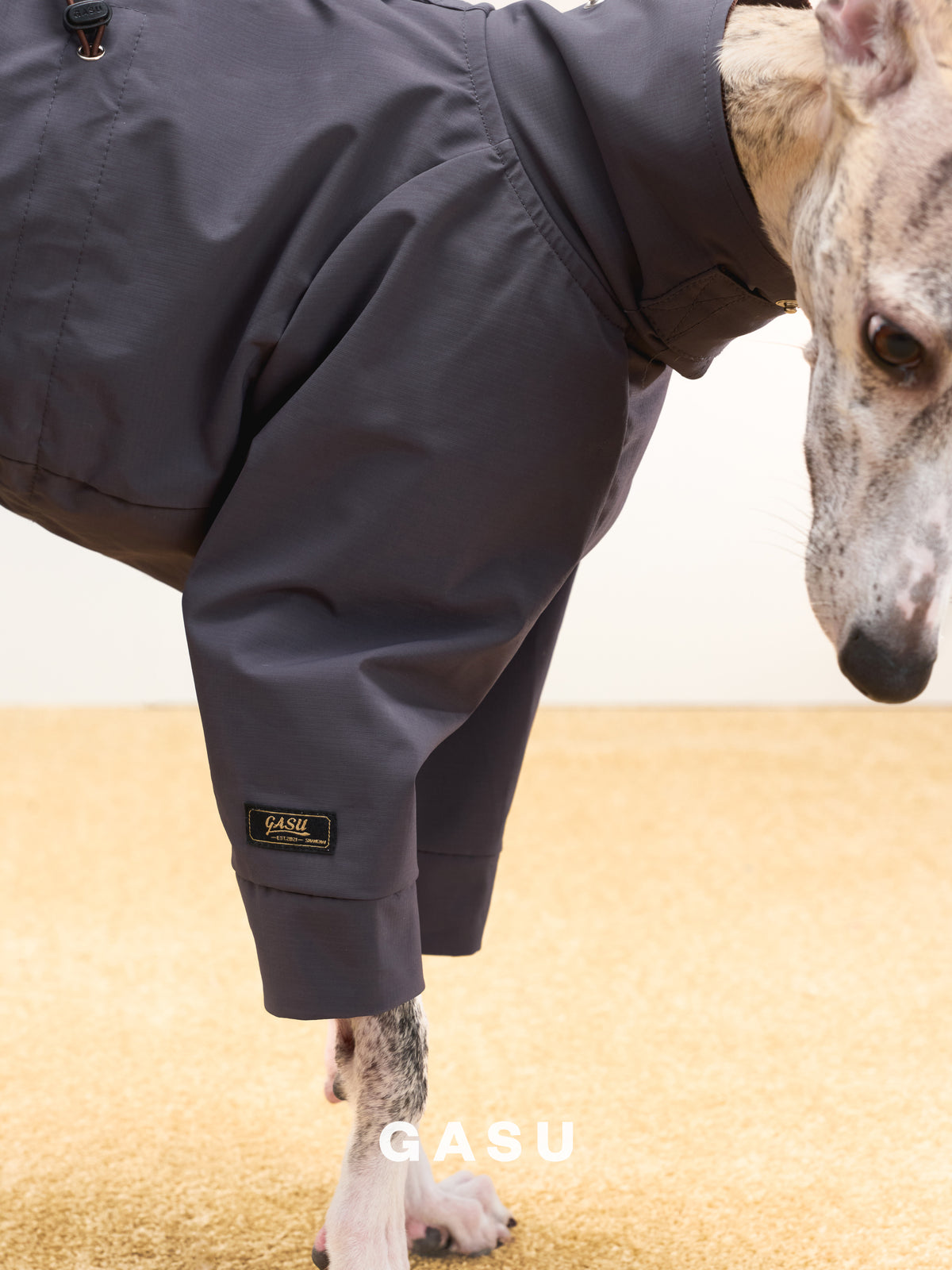 GASU Variété / [Violet Ink] Full Coverage Utility Waterproof Jumpsuit