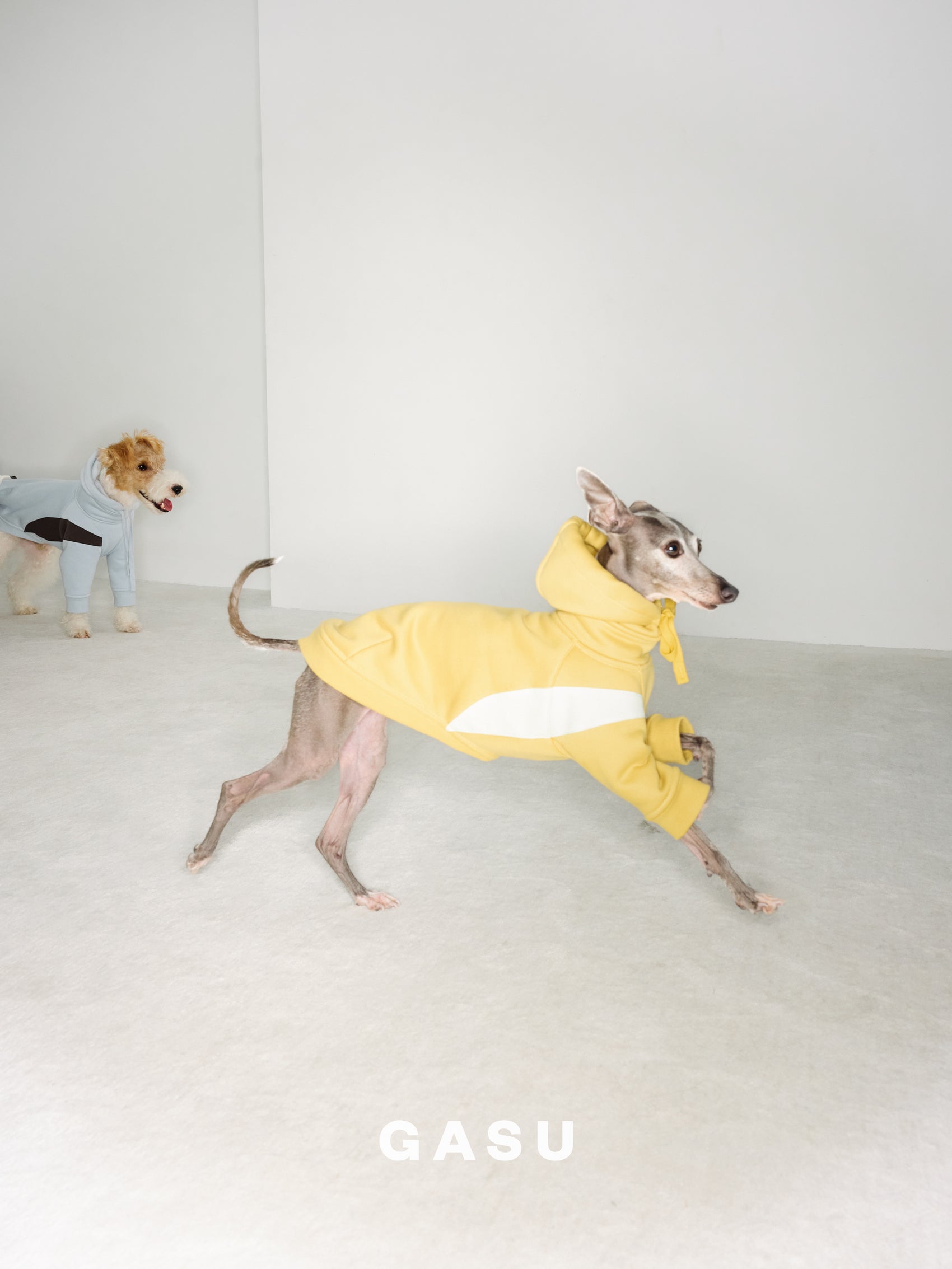GASU Variété / [3 Colors] Antistatic Thick Fleece Hoodie