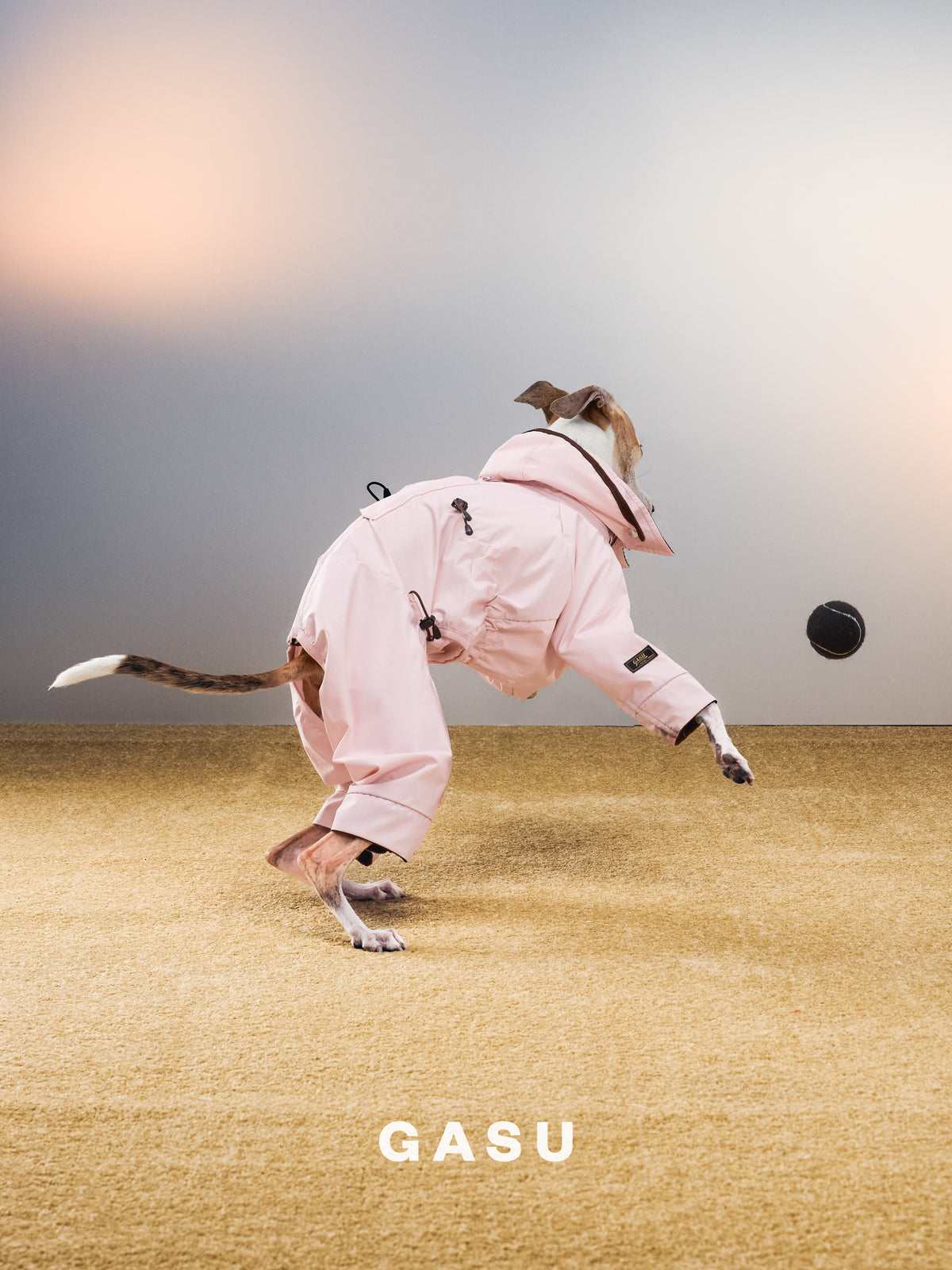 GASU Variété / [Misty Sakura] Full Coverage Utility Waterproof Jumpsuit
