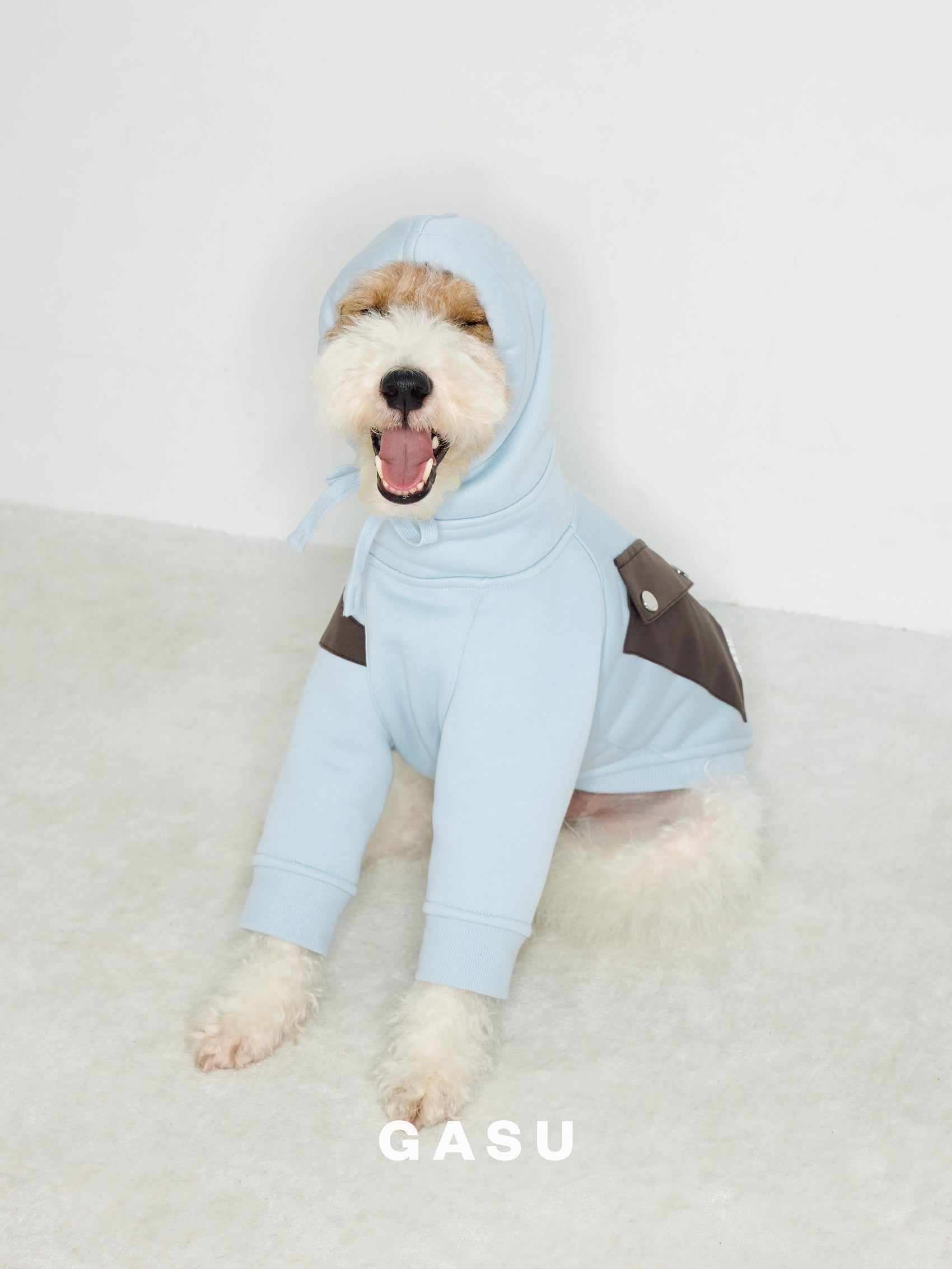 GASU Variété / [3 Colors] Antistatic Thick Fleece Hoodie