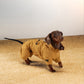 GASU Variété / [Ochre Field] Full Coverage Utility Waterproof Jumpsuit