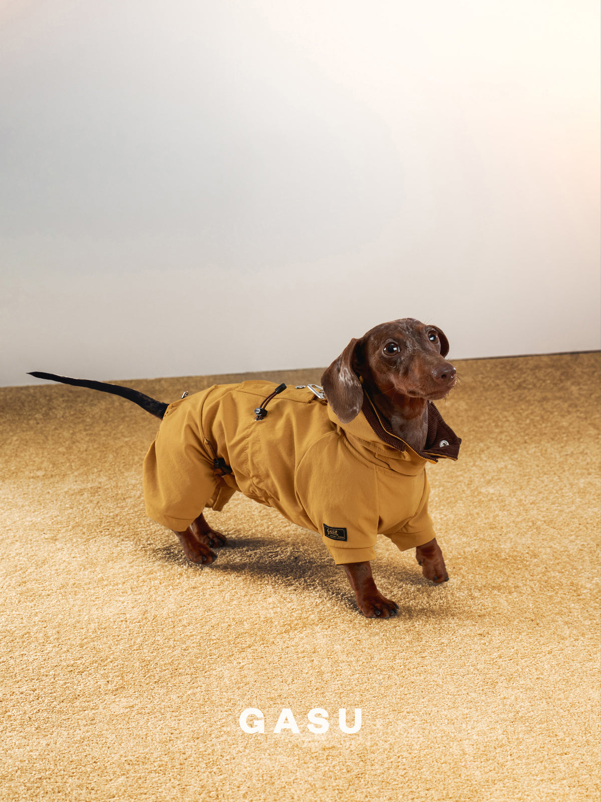 GASU Variété / [Ochre Field] Full Coverage Utility Waterproof Jumpsuit