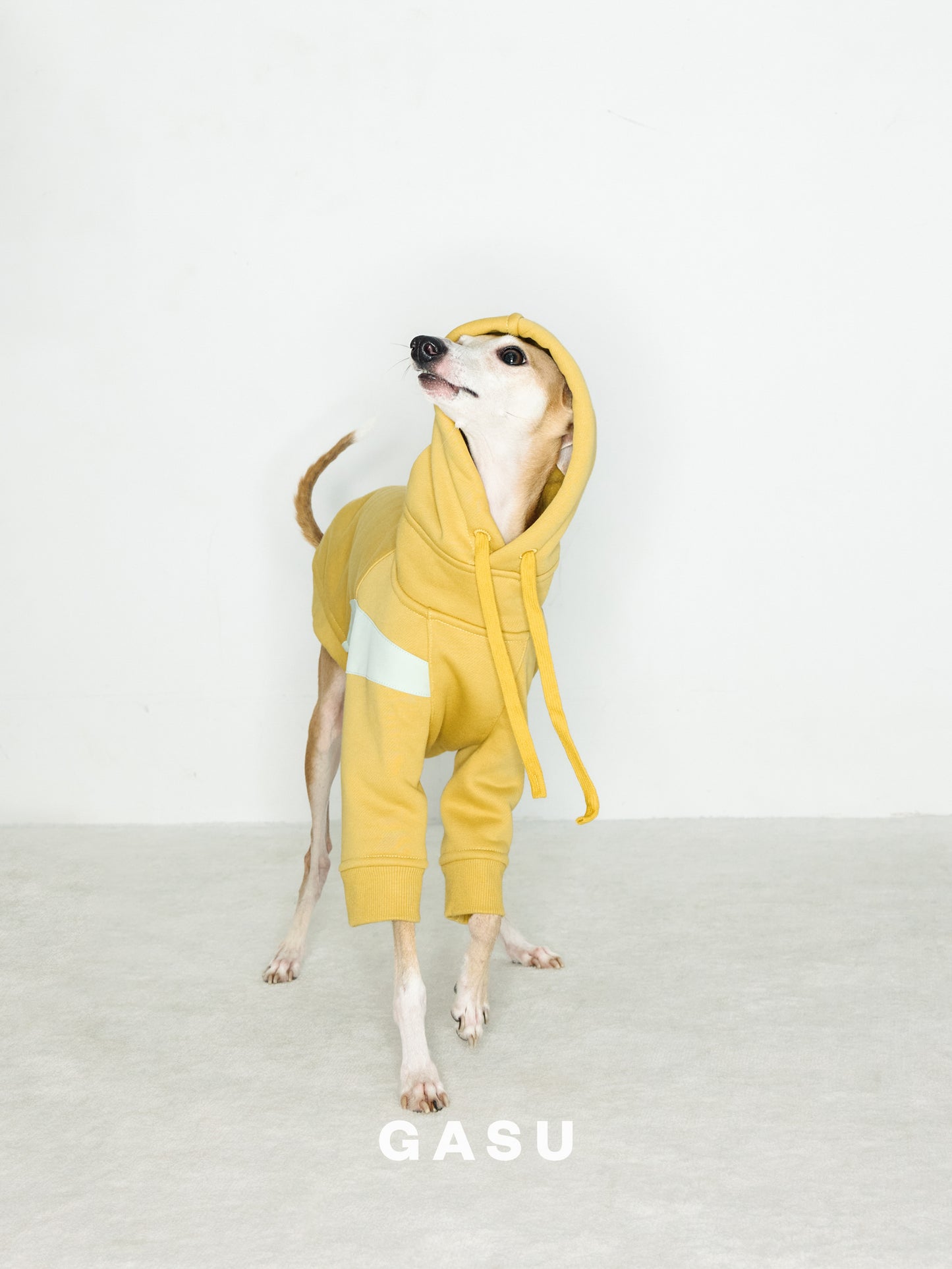 GASU Variété / [3 Colors] Antistatic Thick Fleece Hoodie