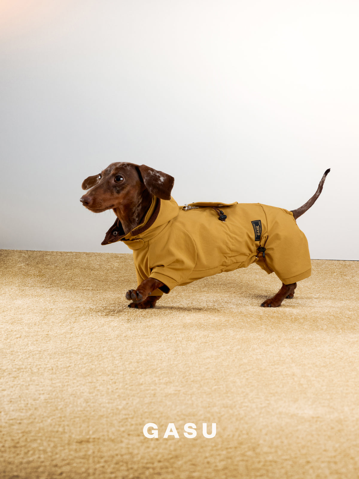 GASU Variété / [Ochre Field] Full Coverage Utility Waterproof Jumpsuit