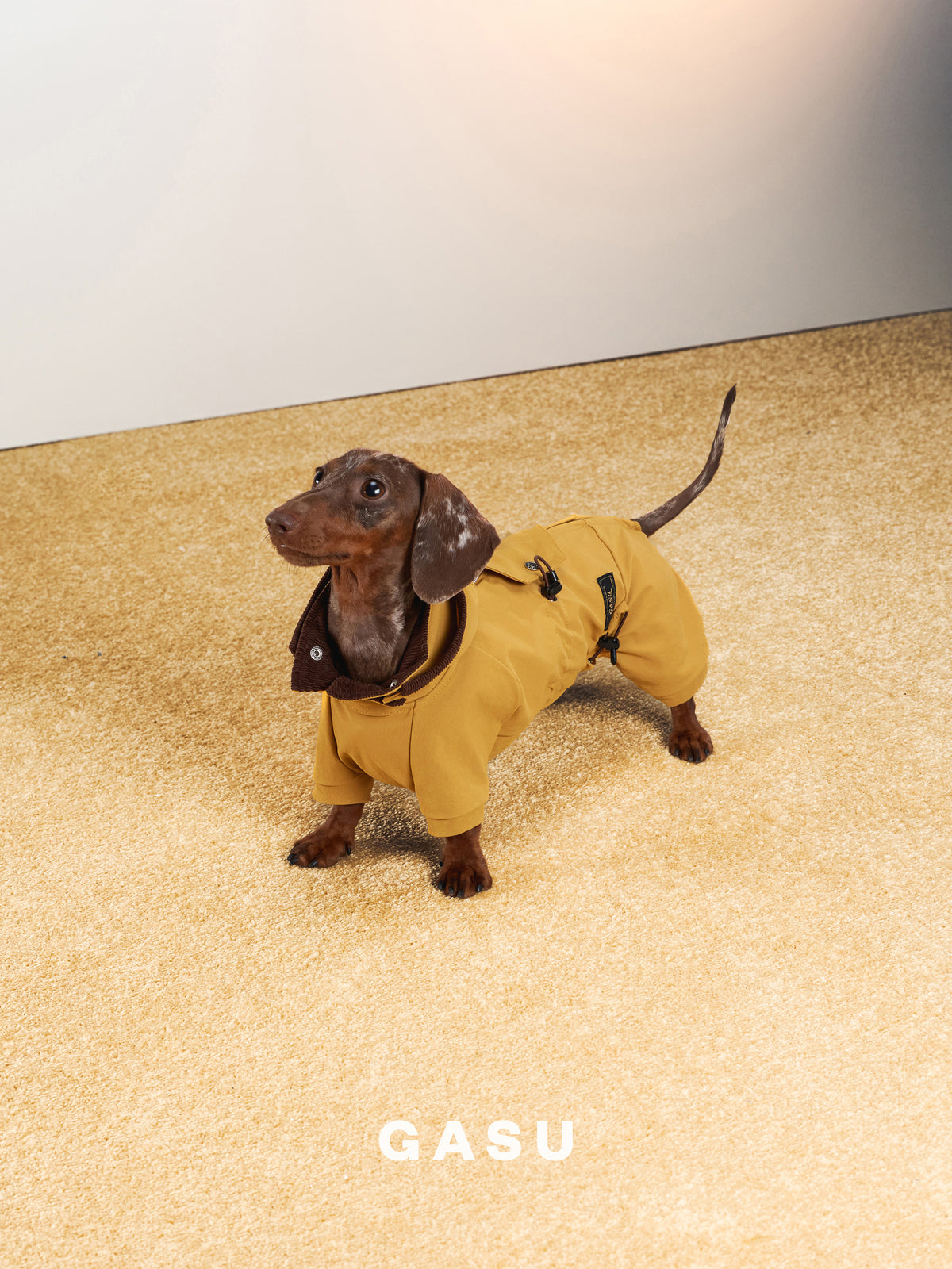 GASU Variété / [Ochre Field] Full Coverage Utility Waterproof Jumpsuit