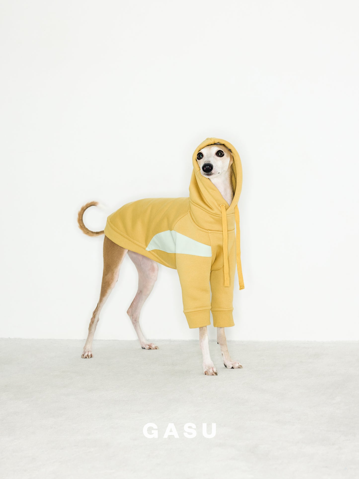 GASU Variété / [3 Colors] Antistatic Thick Fleece Hoodie