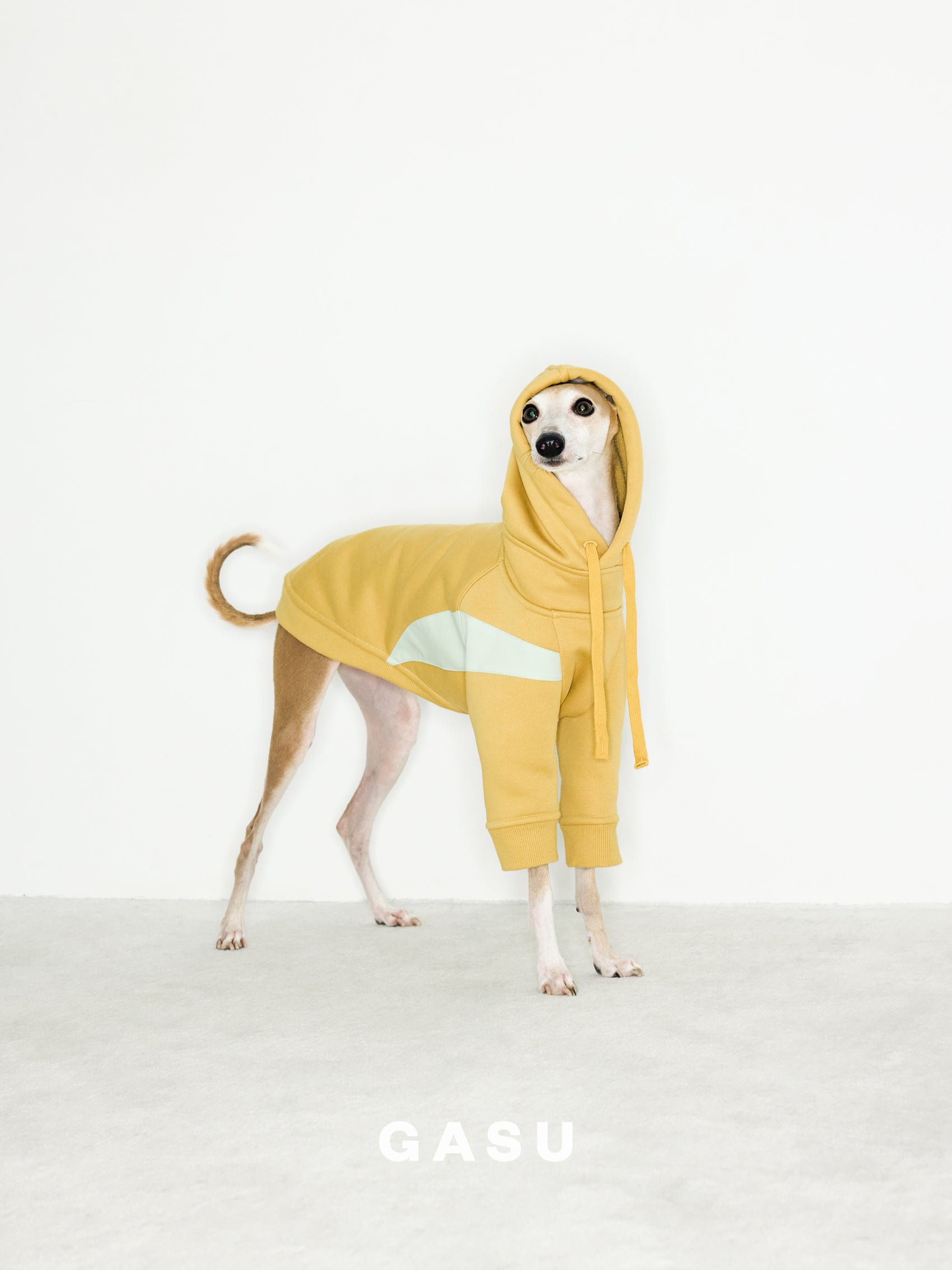 GASU Variété / [3 Colors] Antistatic Thick Fleece Hoodie