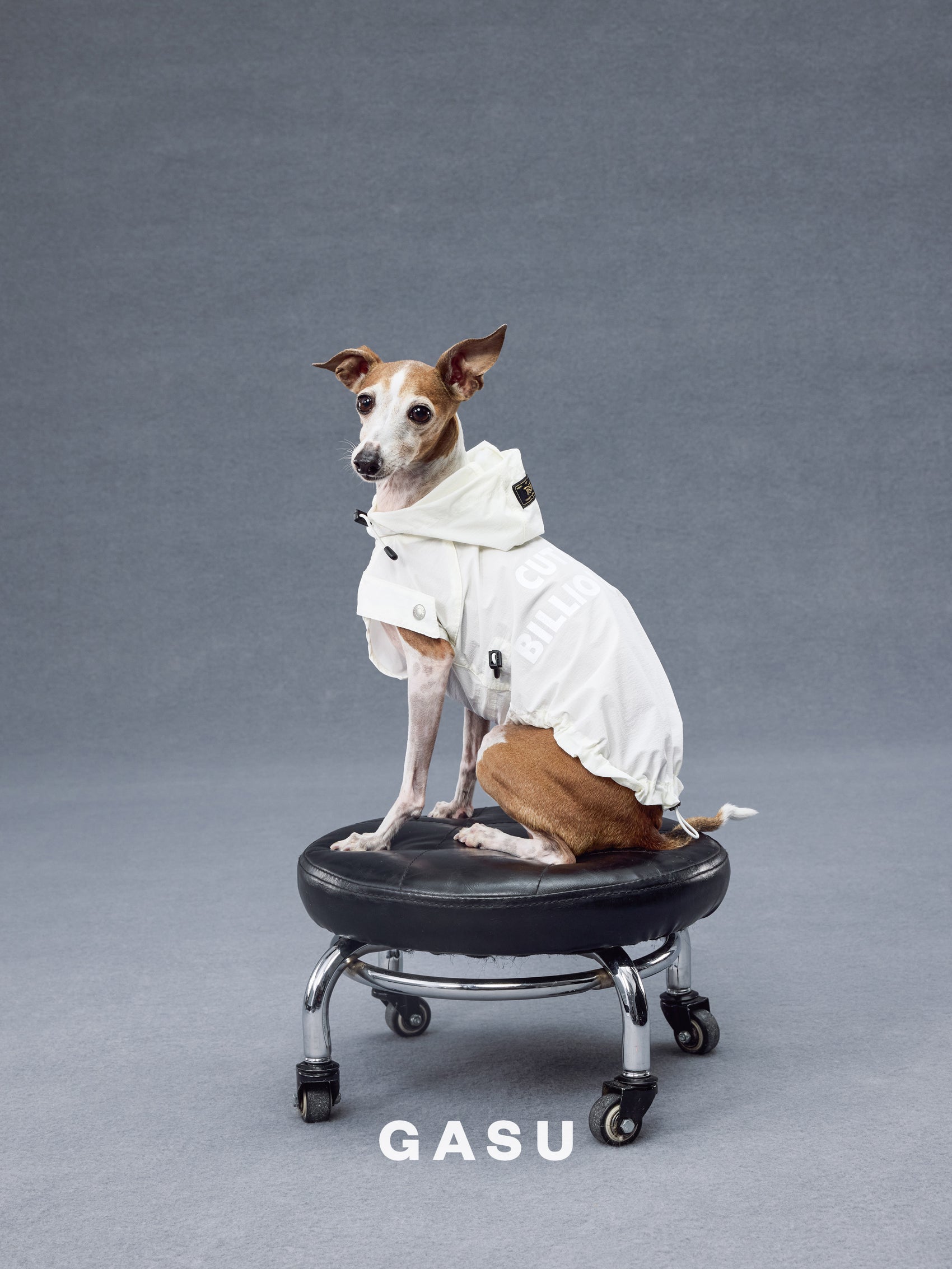 GASU Variété / [Pebble Oat White] UPF50+ Cooling Water-Repellent CUTEST BILLIONAIRE Shirt