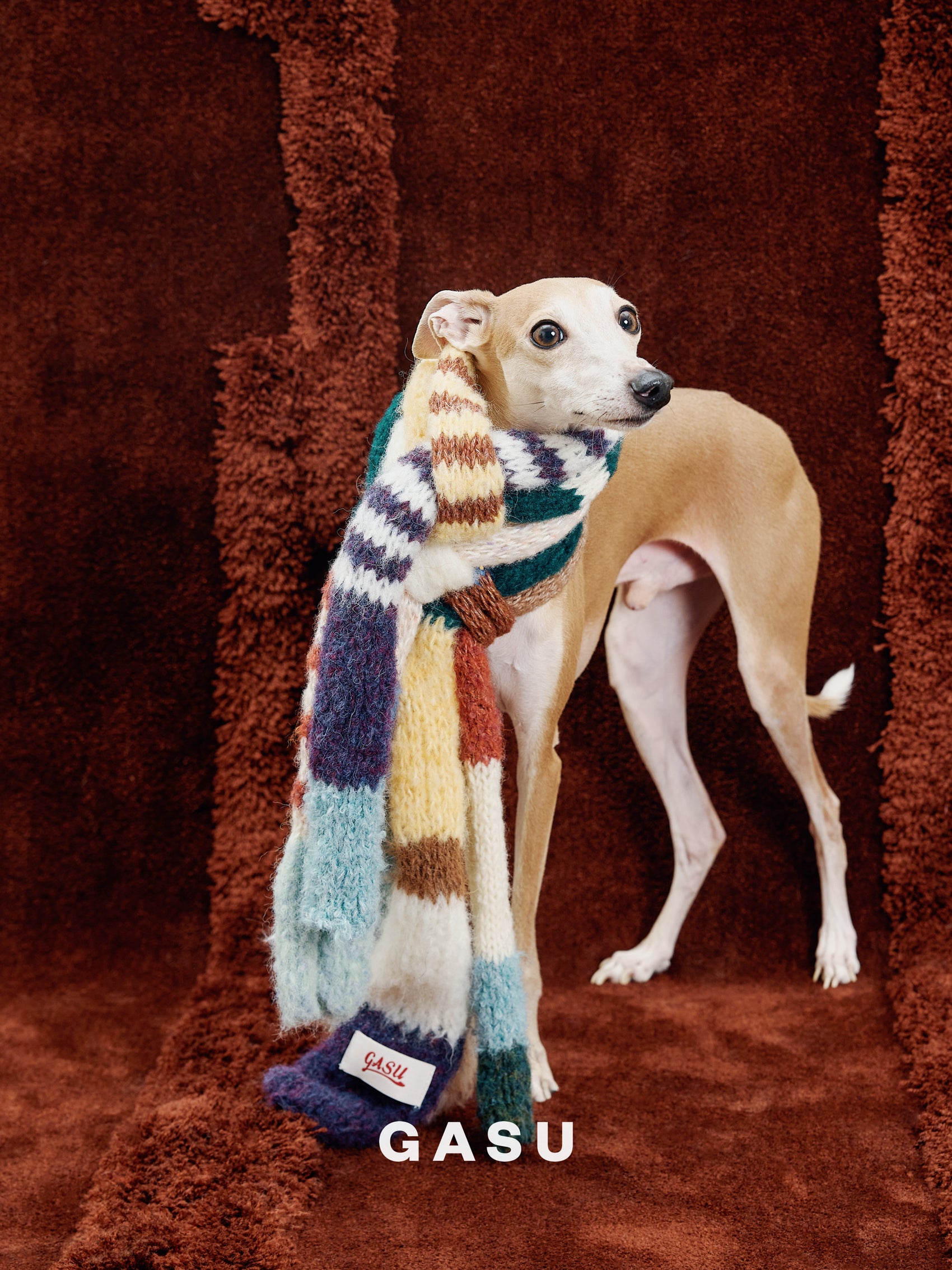 GASU Entourer / [Random Style] Hand-Knitted Mystery Box Scarf