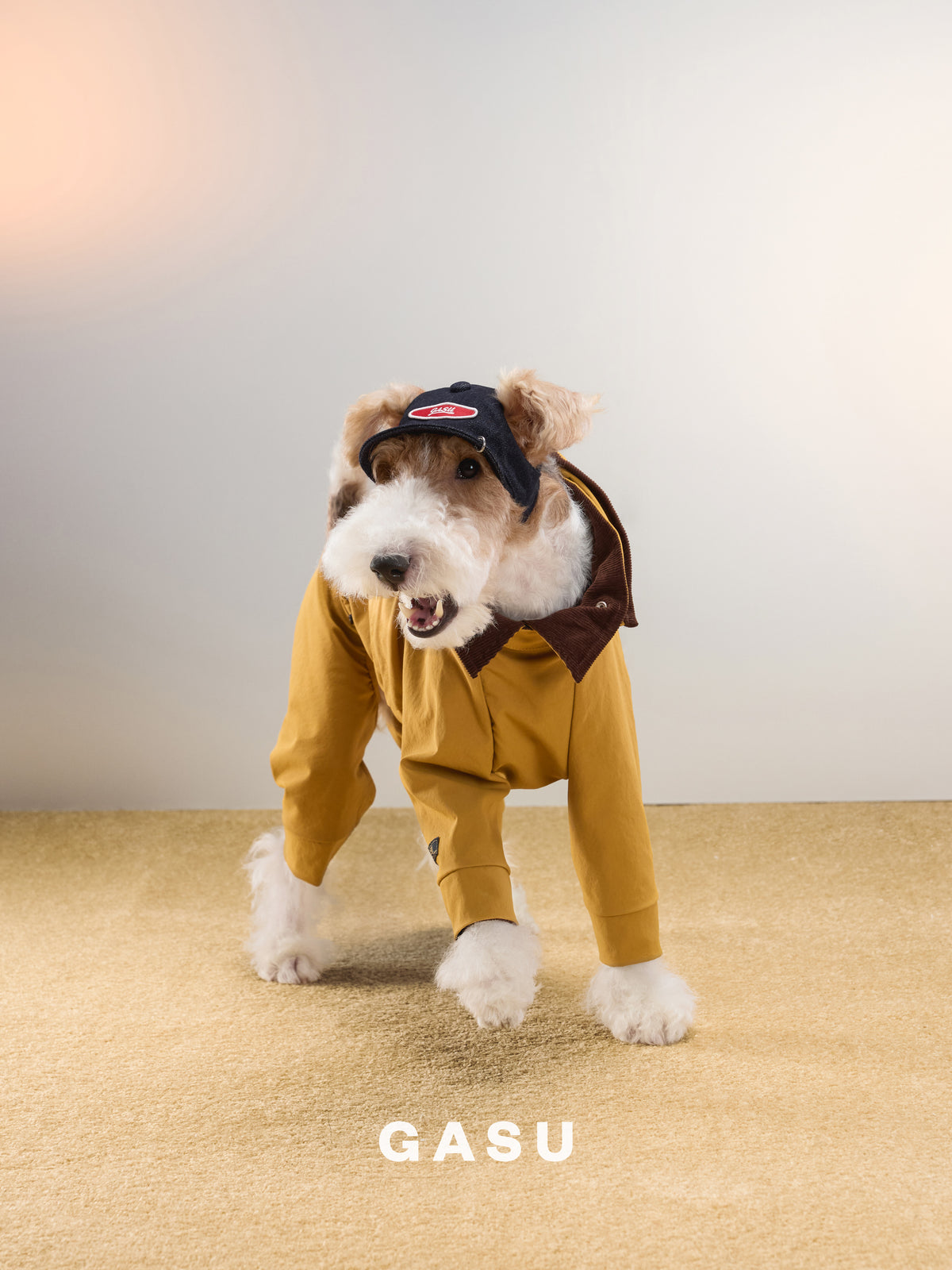 GASU Moi /  [Navy Demin] Pets & Human Vintage Demin Baseball Cap
