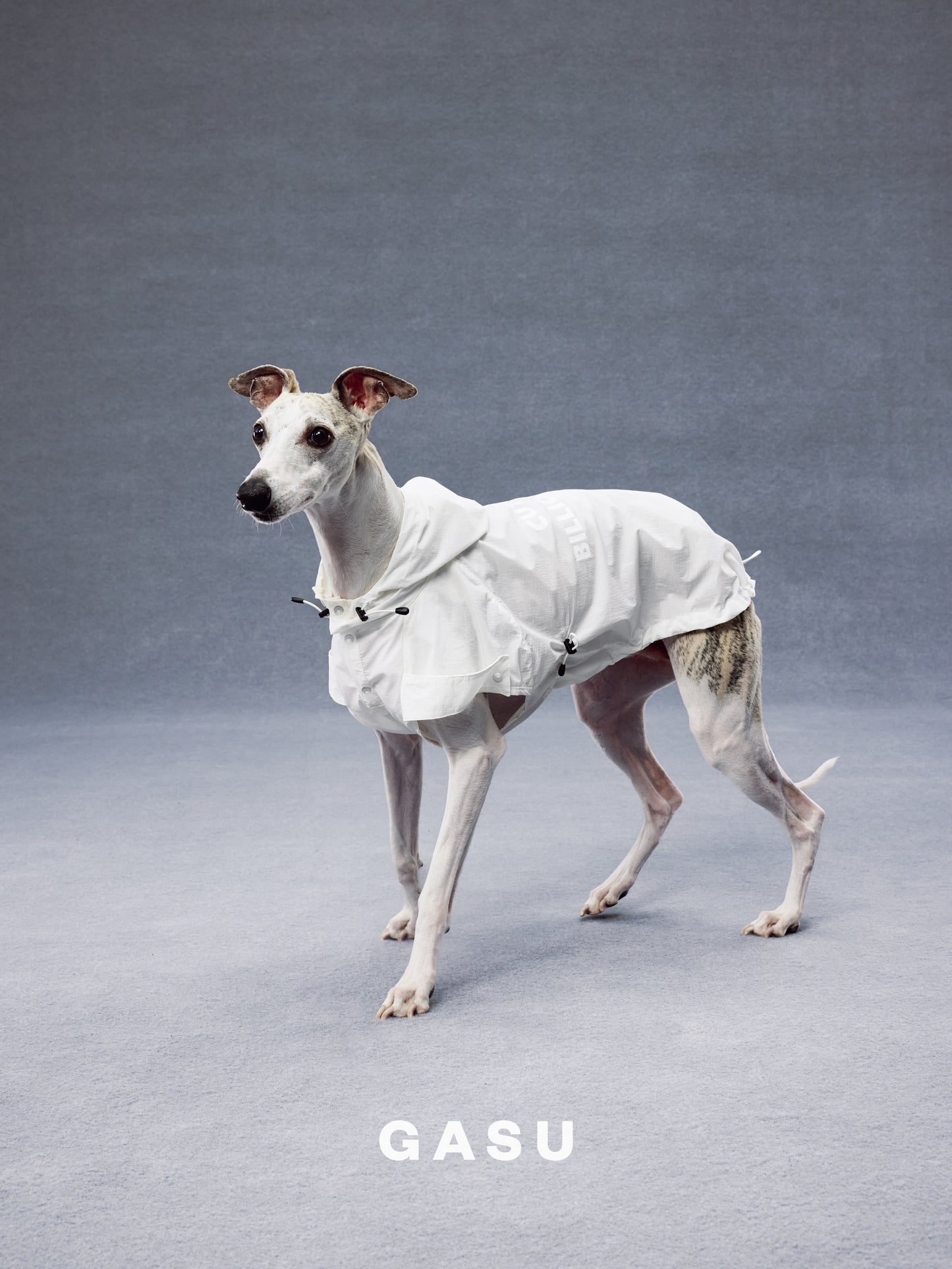GASU Variété / [Pebble Oat White] UPF50+ Cooling Water-Repellent CUTEST BILLIONAIRE Shirt
