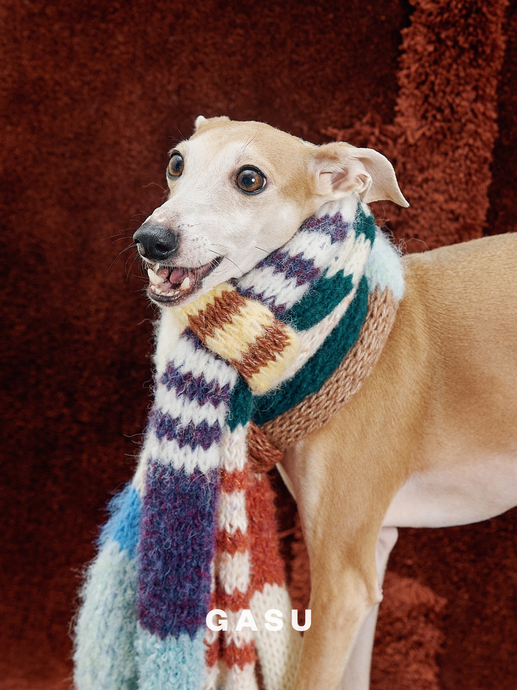 GASU Entourer / [Random Style] Hand-Knitted Mystery Box Scarf