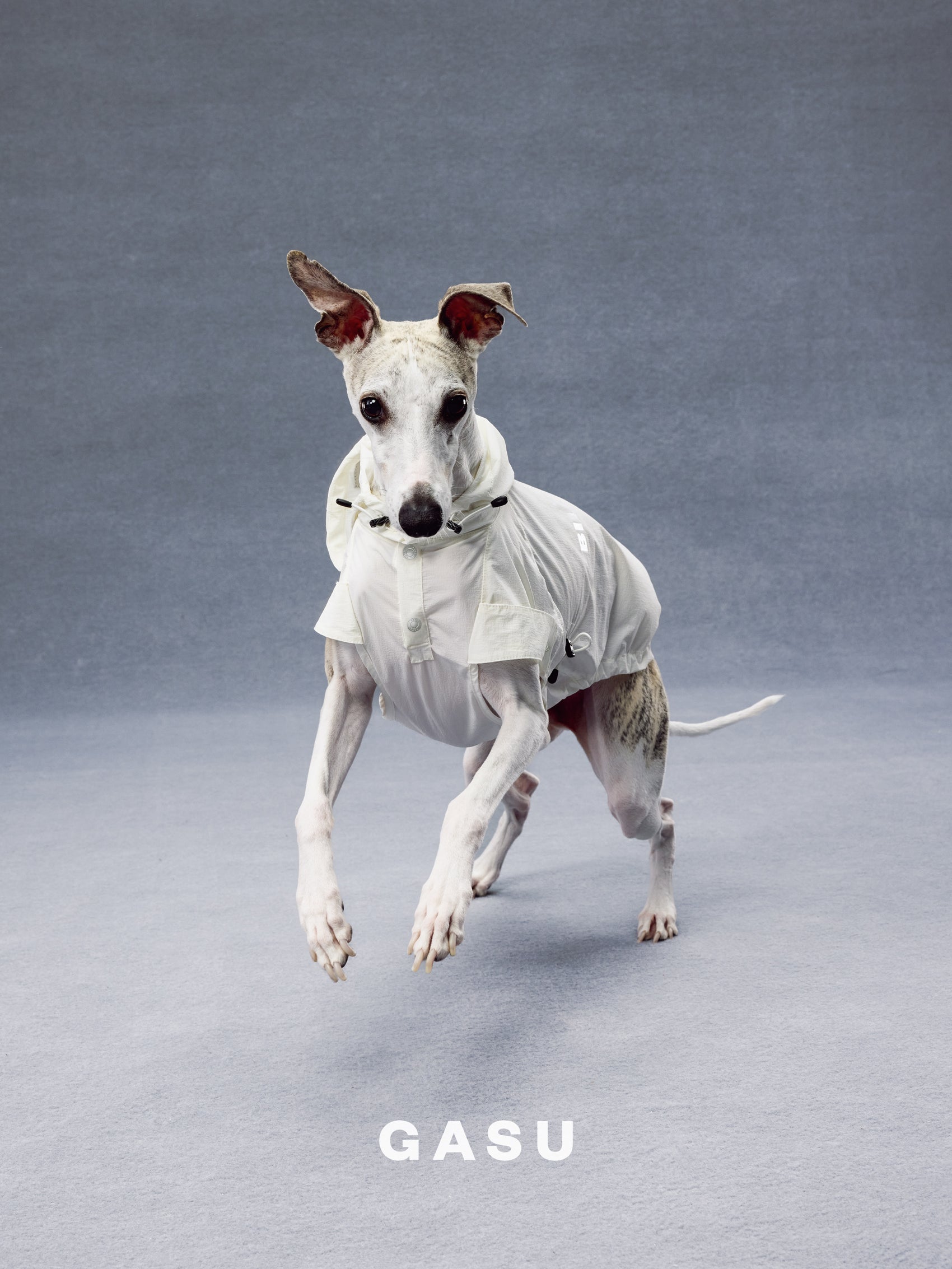 GASU Variété / [Pebble Oat White] UPF50+ Cooling Water-Repellent CUTEST BILLIONAIRE Shirt