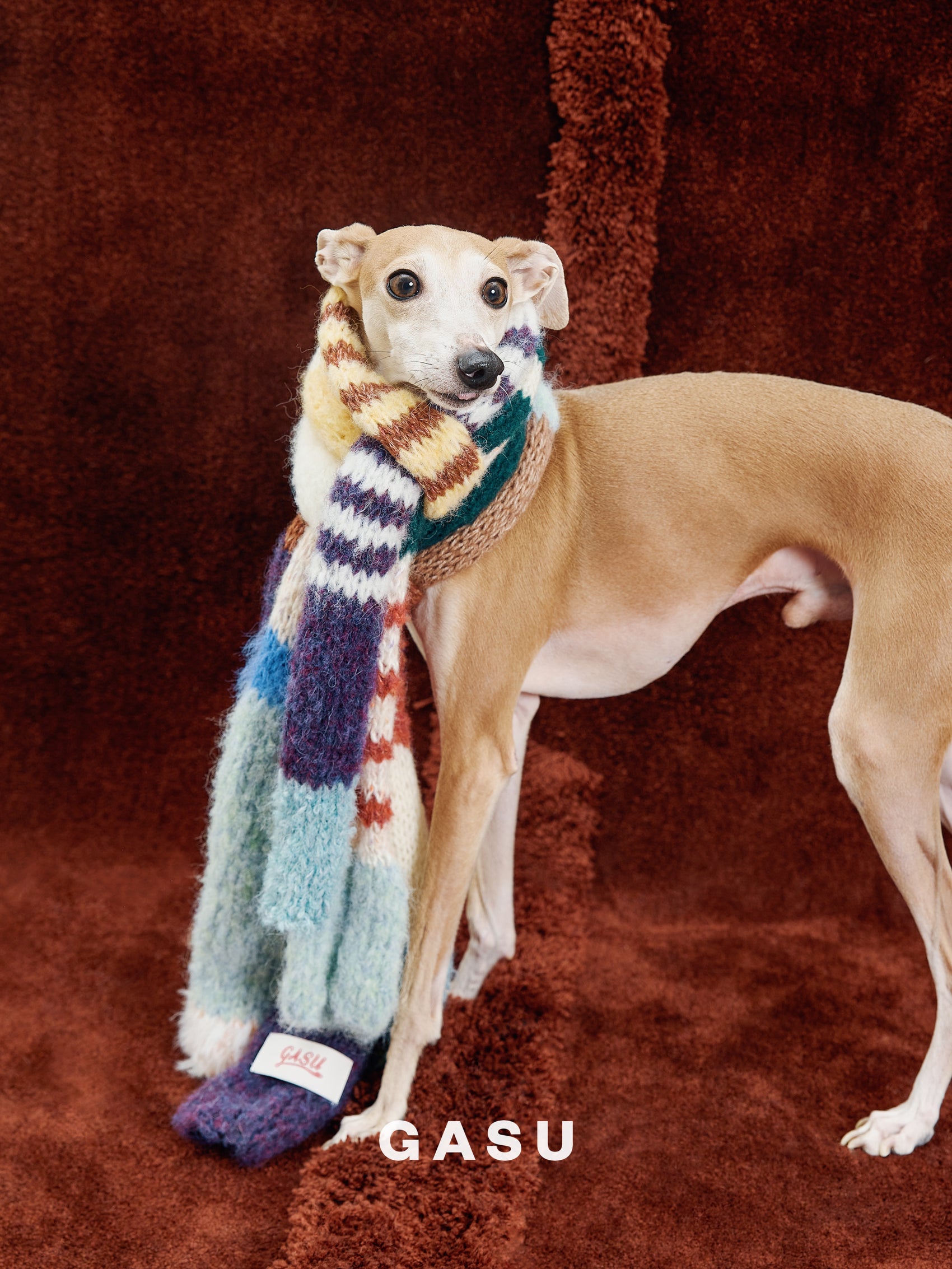 GASU Entourer / [Random Style] Hand-Knitted Mystery Box Scarf