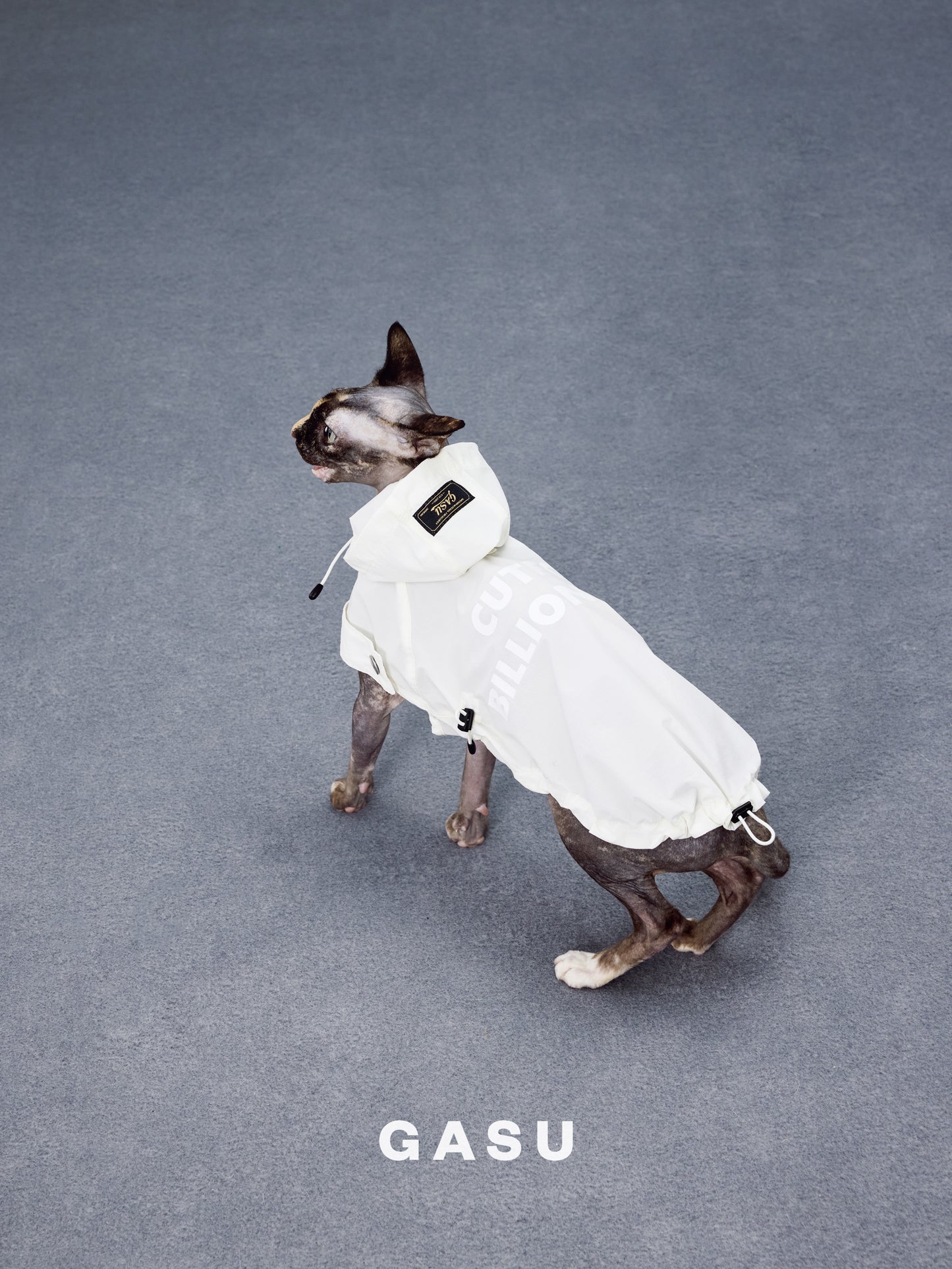 GASU Variété / [Pebble Oat White] UPF50+ Cooling Water-Repellent CUTEST BILLIONAIRE Shirt