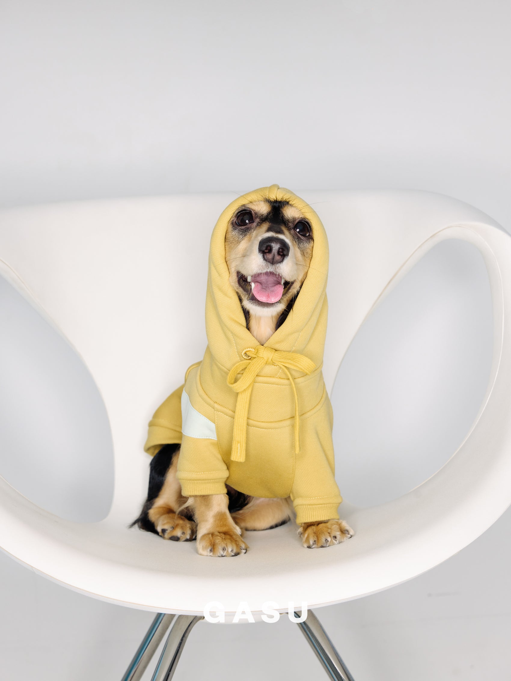 GASU Variété / [3 Colors] Antistatic Thick Fleece Hoodie