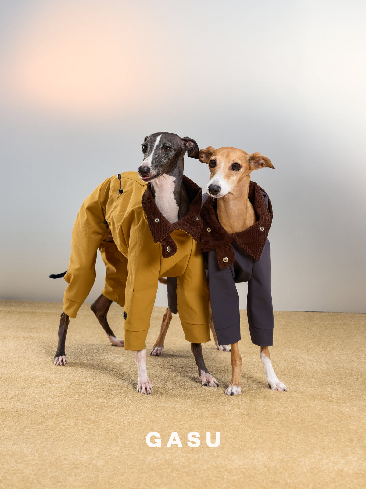 GASU Variété / [Ochre Field] Full Coverage Utility Waterproof Jumpsuit
