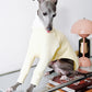 GASU Svelte / [3 Colors] Fleece Thick 2-Leg Shirt