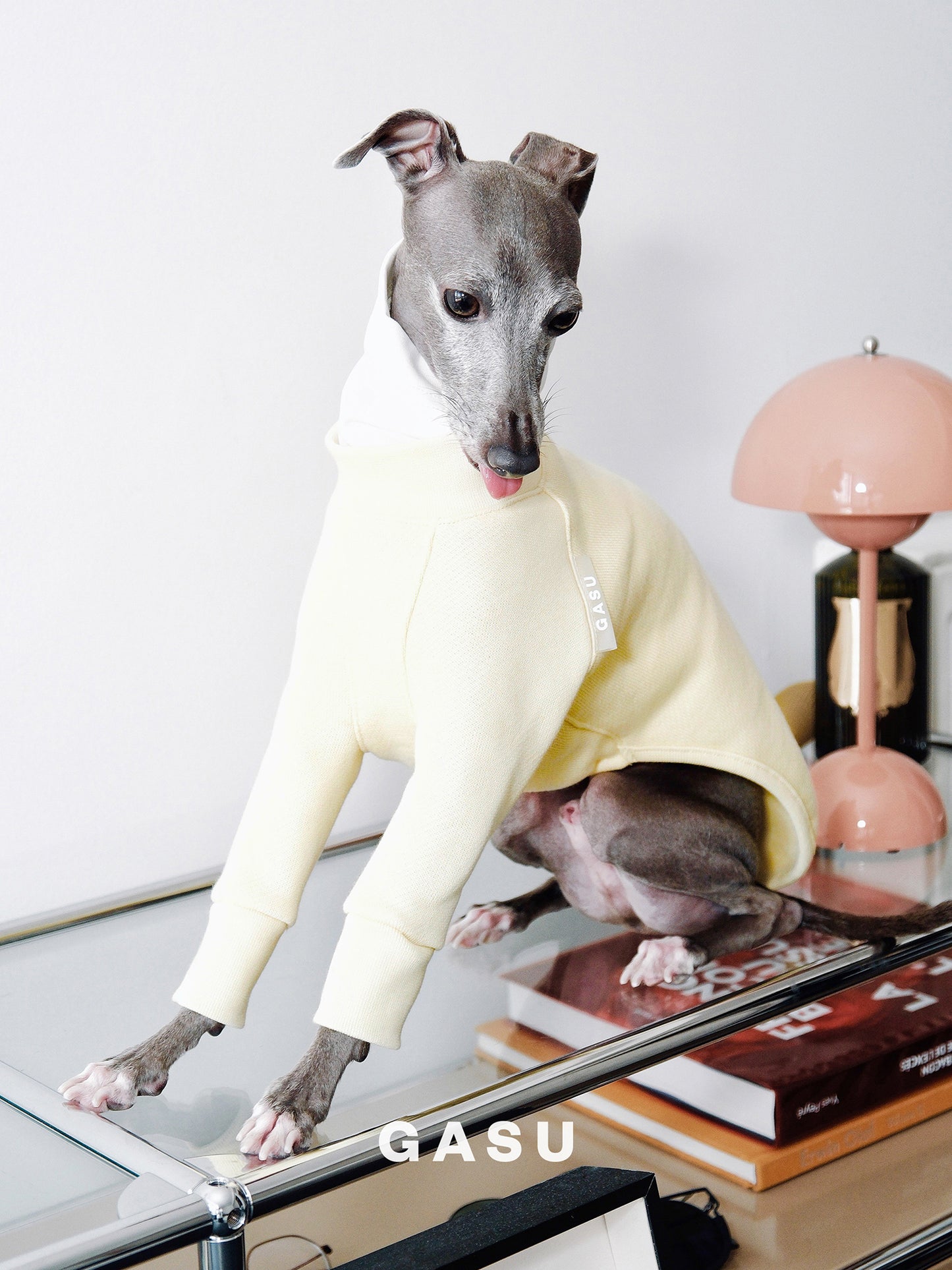 GASU Svelte / [3 Colors] Fleece Thick 2-Leg Shirt