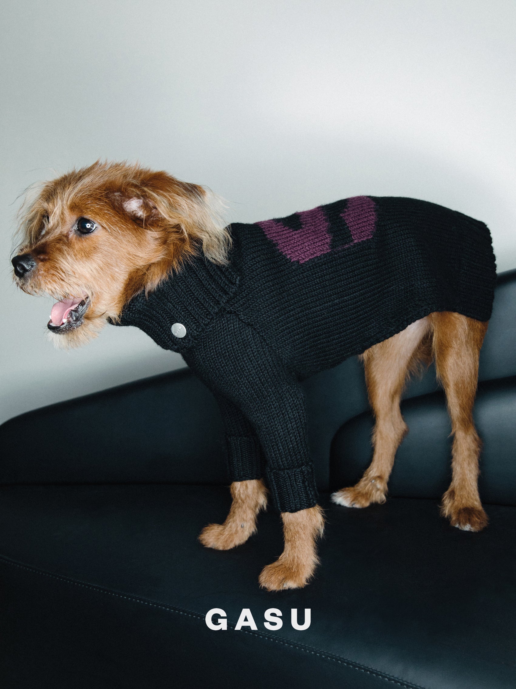 GASU® Svelte / [4 Colors] Vintage Letter Iggy 2-Legged Wool Sweater