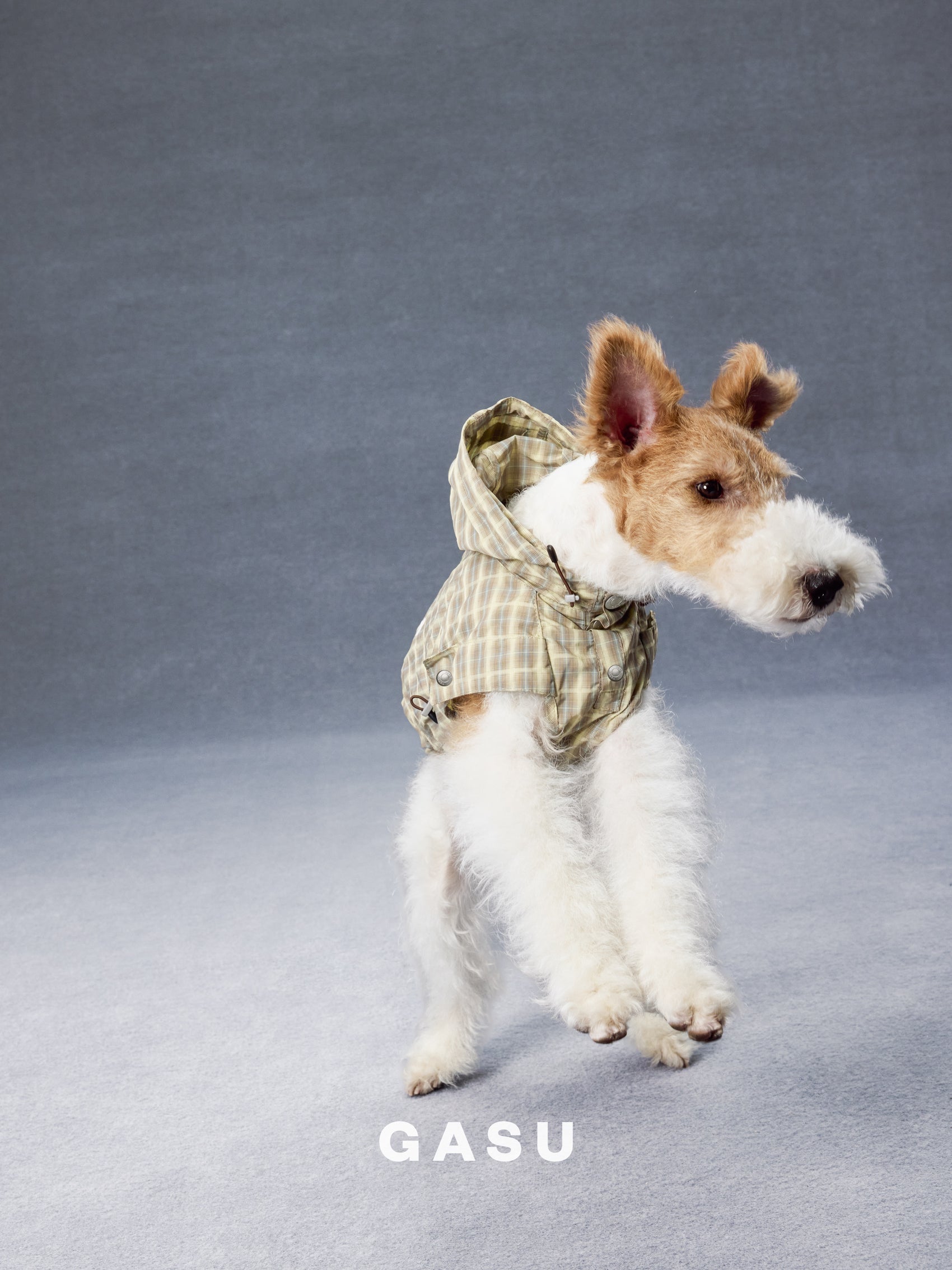 GASU Variété / [Warm Wheat Plaid] Yarn-Dyed Crinkled CUTEST BILLIONAIRE Sleeveless Shirt