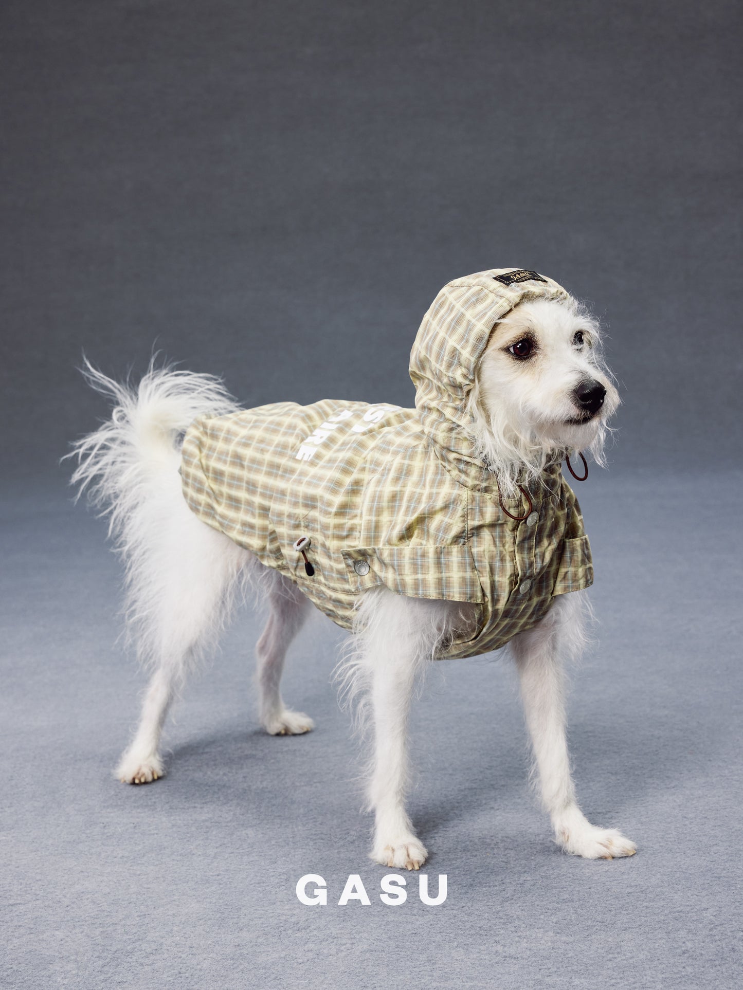 GASU Variété / [Warm Wheat Plaid] Yarn-Dyed Crinkled CUTEST BILLIONAIRE Sleeveless Shirt