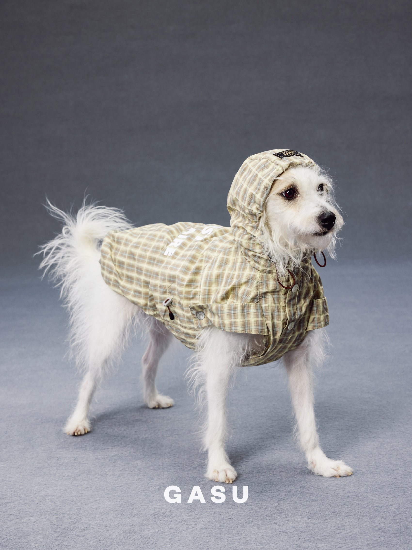 GASU Variété / [Warm Wheat Plaid] Yarn-Dyed Crinkled CUTEST BILLIONAIRE Sleeveless Shirt