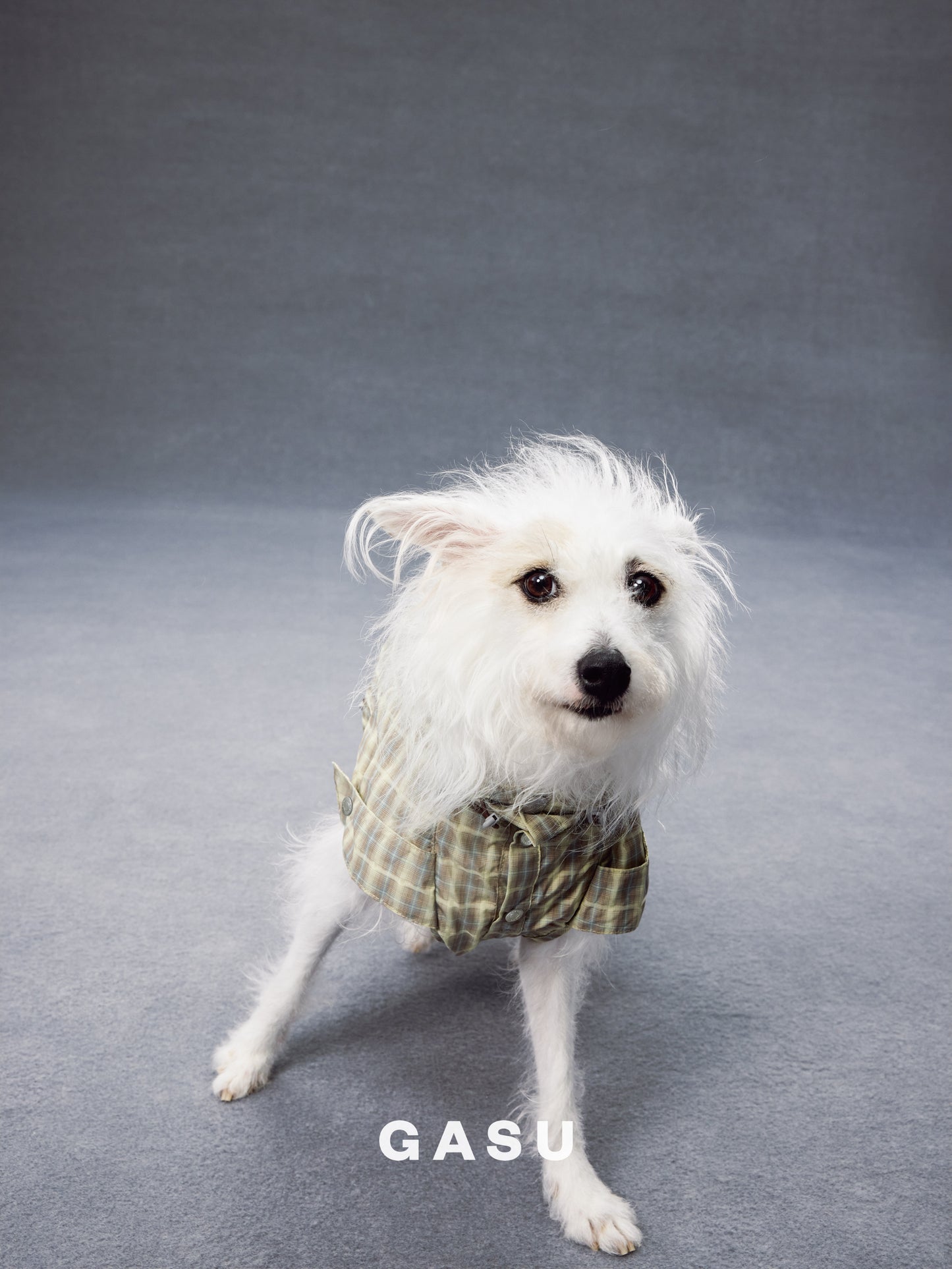 GASU Variété / [Warm Wheat Plaid] Yarn-Dyed Crinkled CUTEST BILLIONAIRE Sleeveless Shirt