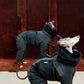 GASU Assembler / [Ink Mirage] 3M Thinsulate™ Antistatic Down-Feel Ultra-Waterproof Extra-Thick 4-Legged Padded Snowsuit
