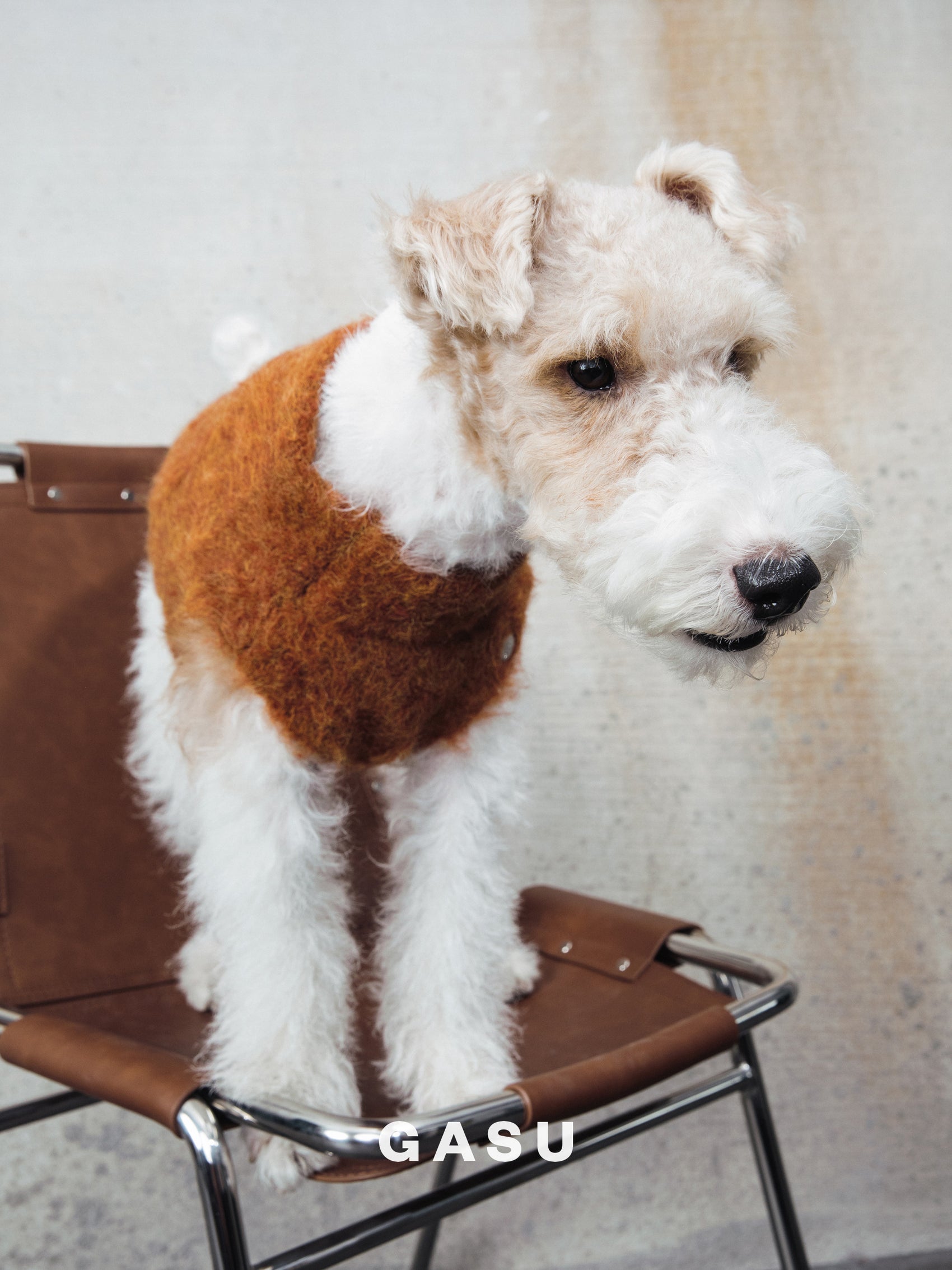 GASU Roseau / [Maple] Fine&Warm Alpaca Knit Vest