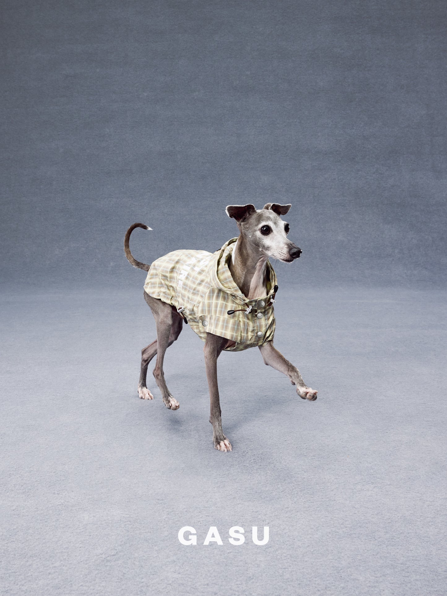 GASU Variété / [Warm Wheat Plaid] Yarn-Dyed Crinkled CUTEST BILLIONAIRE Sleeveless Shirt